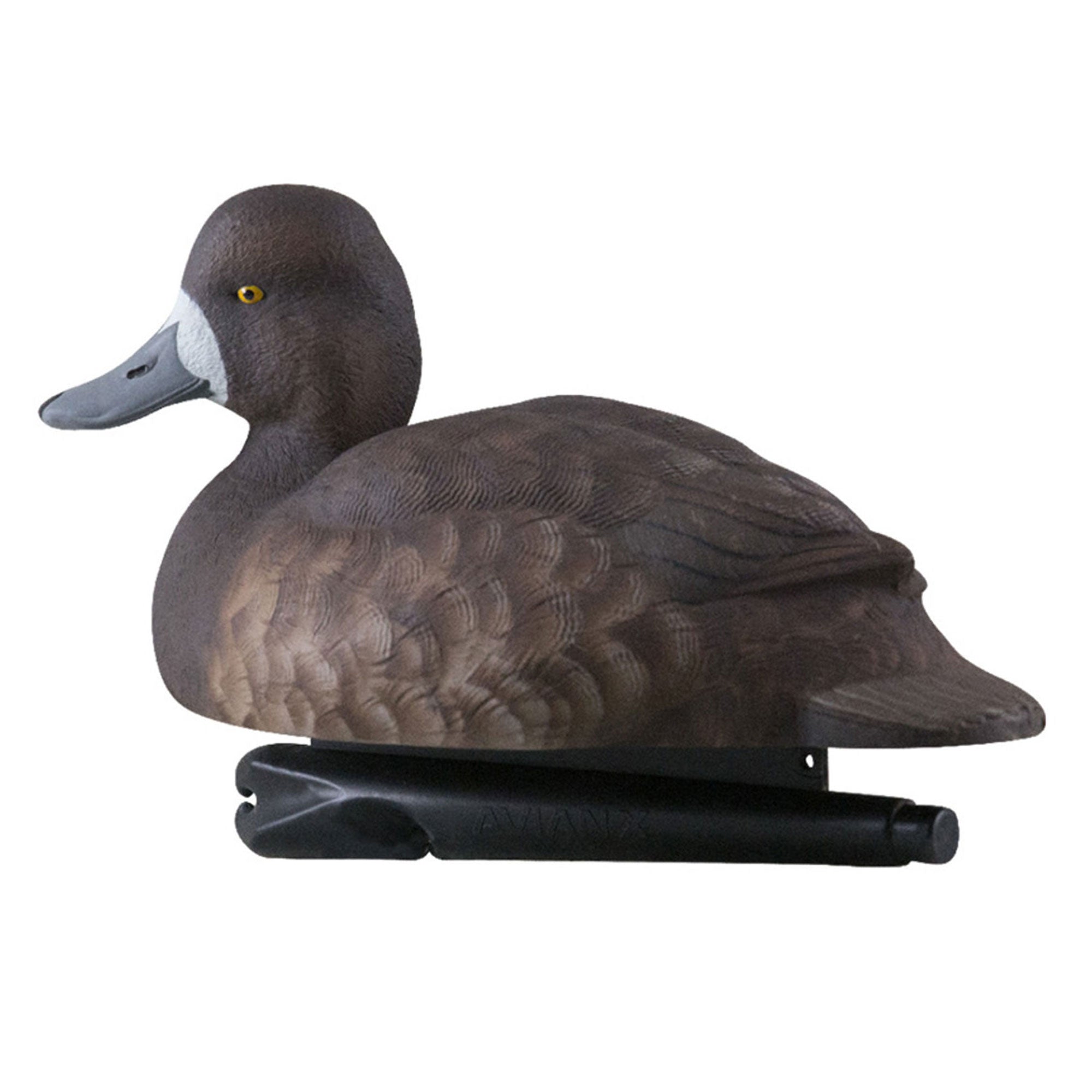 Avian X Topflight Blue Bills Duck Decoys Bundled with Redheads Realistic Decoys