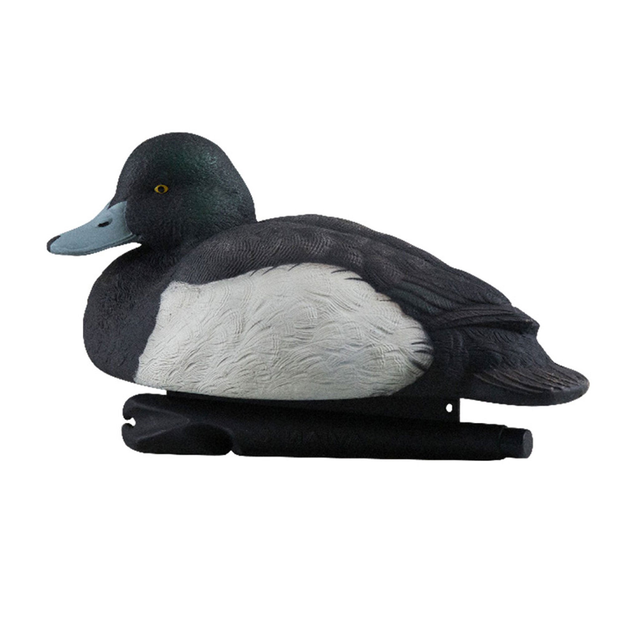 Avian X Topflight Blue Bills Duck Decoys Bundled with Redheads Realistic Decoys