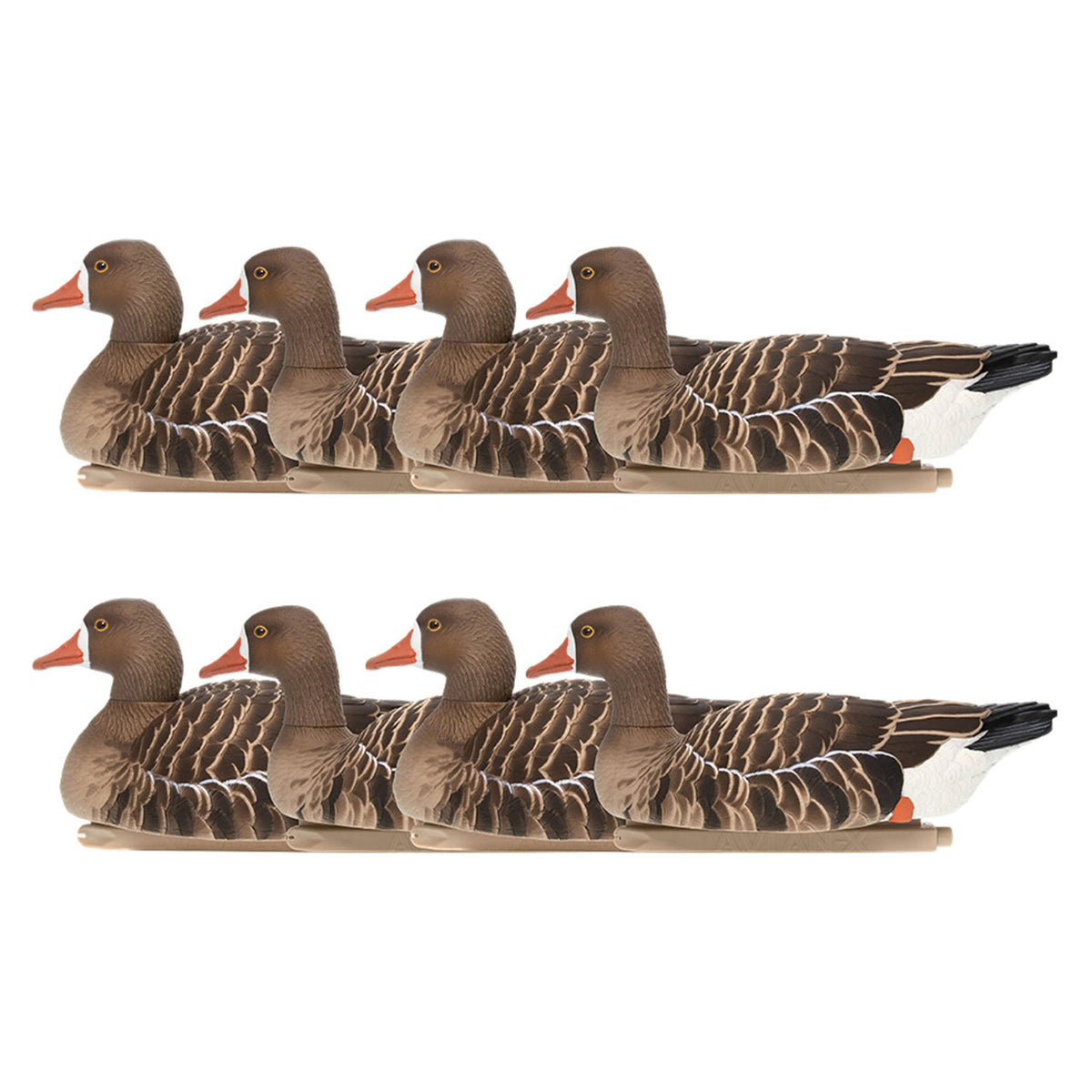 Avian X Topflight Specklebelly Goose Decoys with True to Life Postures, 8 Pack