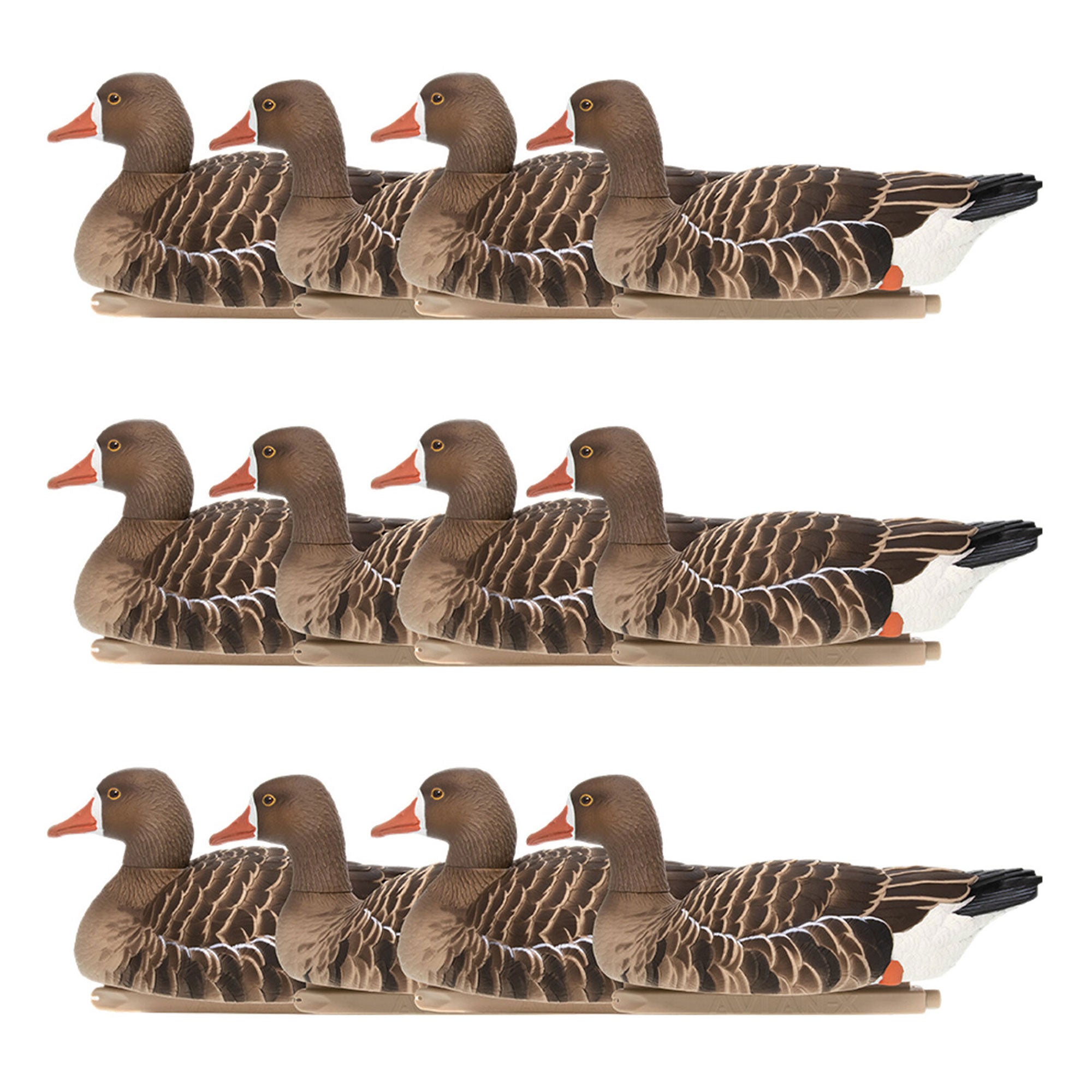 Avian X Topflight Specklebelly Goose Decoys with True to Life Postures, 12 Pack