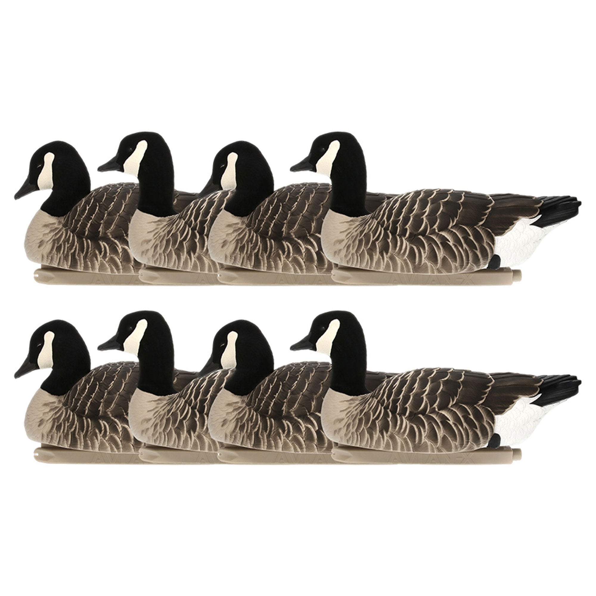 Avian X Topflight Lessers Floating Goose Decoys for Outdoor Hunting, 8 Pack