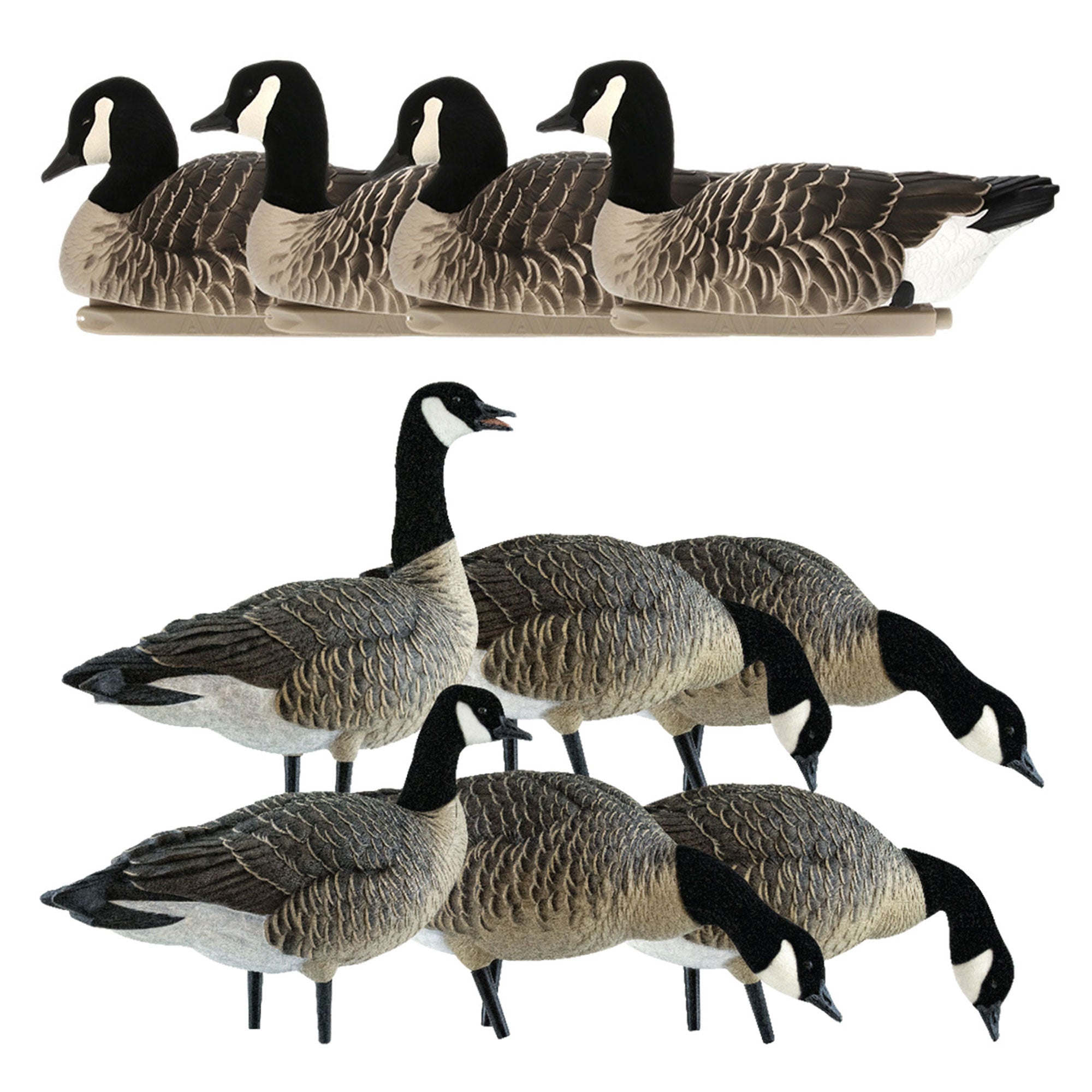 Avian X Lessers 4 Topflight Floating Hunting Decor with Lessers 6 Fusion Pack