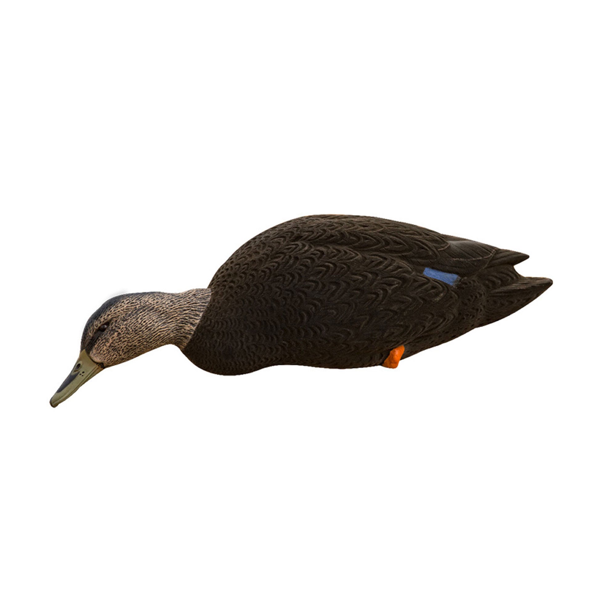 Avian X AXF Flocked Full Body Rugged Durable Black Ducks Fusion Pack, 12 Pack