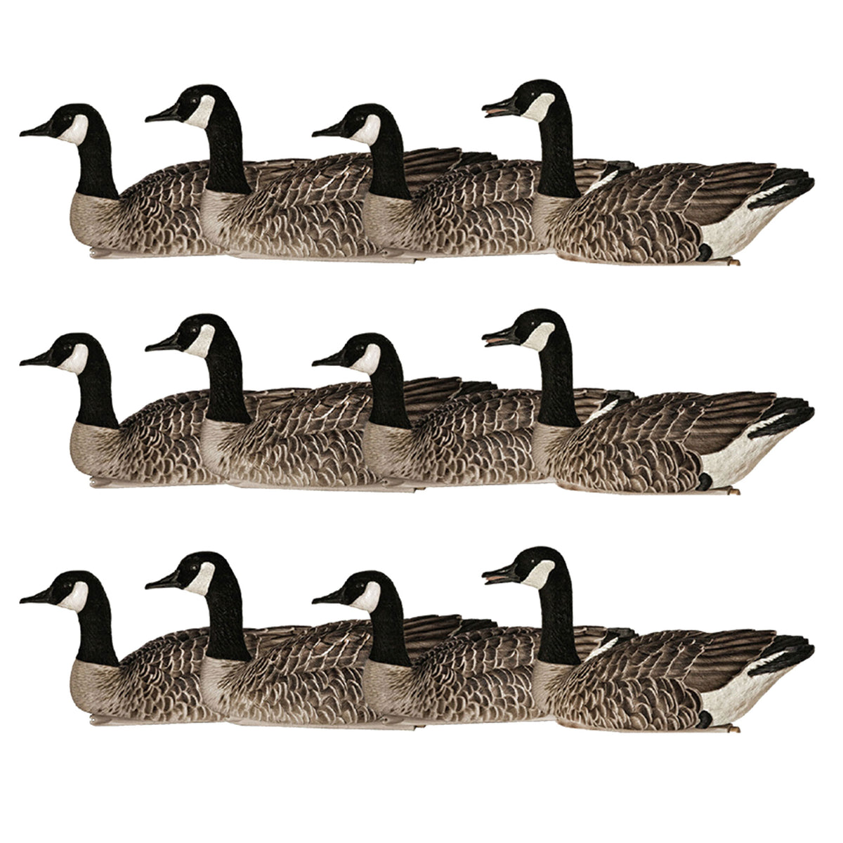 Avian X Topflight Honker Floaters w/ True to Life Postures for Hunting, 12 Pack