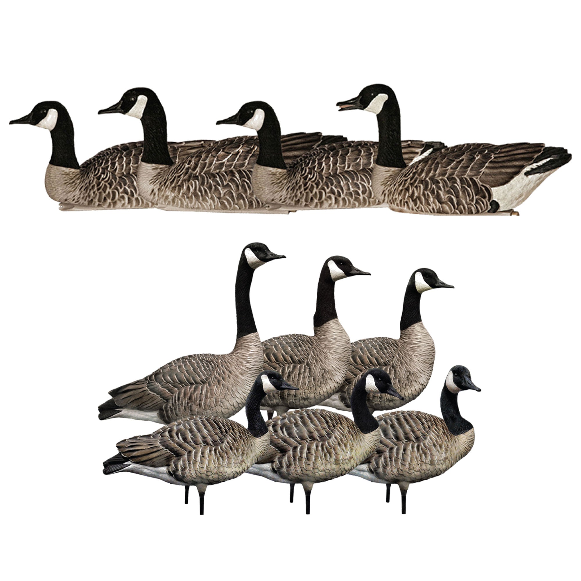Avian X Topflight Honker Floaters Bundled with X AXP Honker Sentry Walker Pack