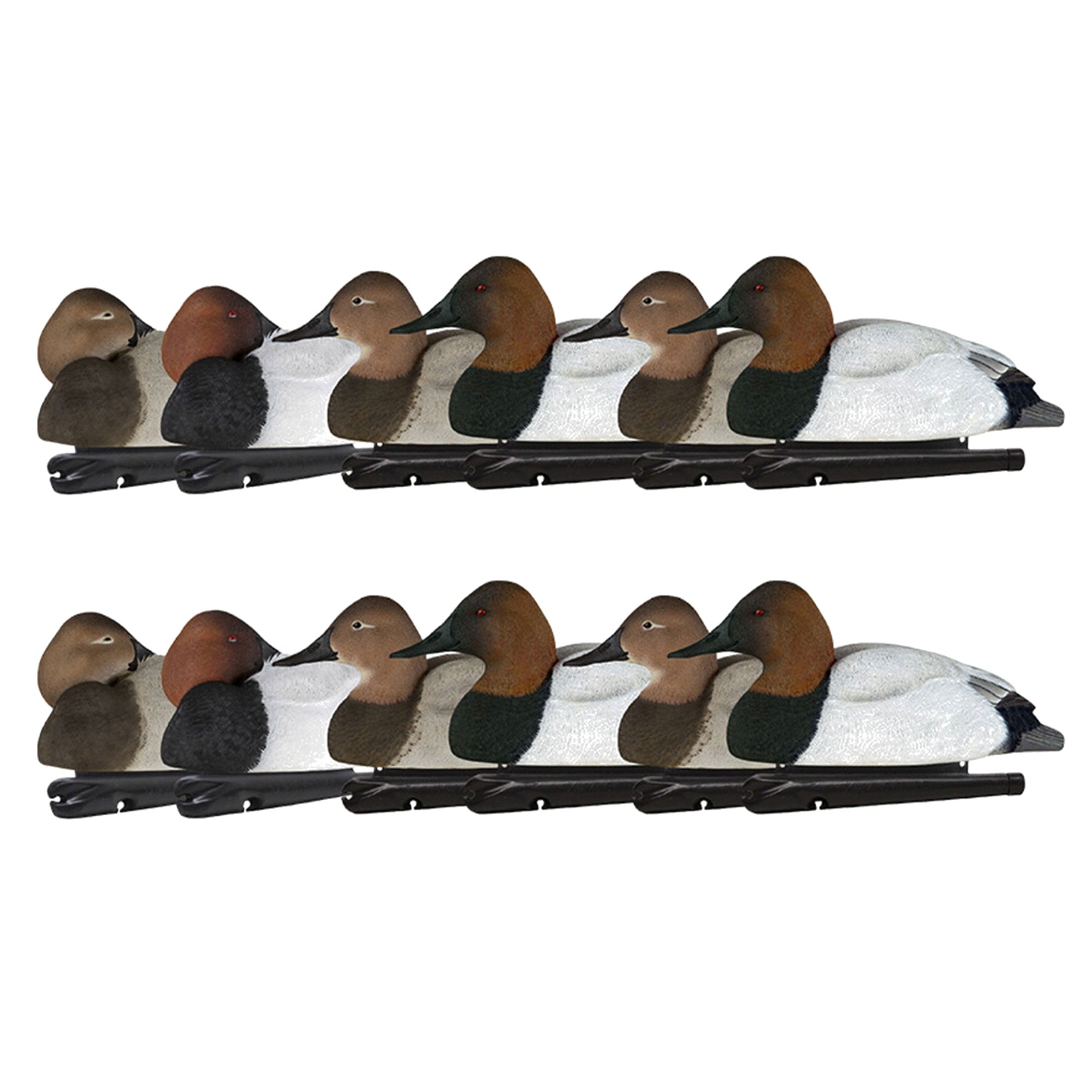 Avian X Topflight Canvasbacks Decoys Realistic Gray Duck, Set of 12, Multicolor