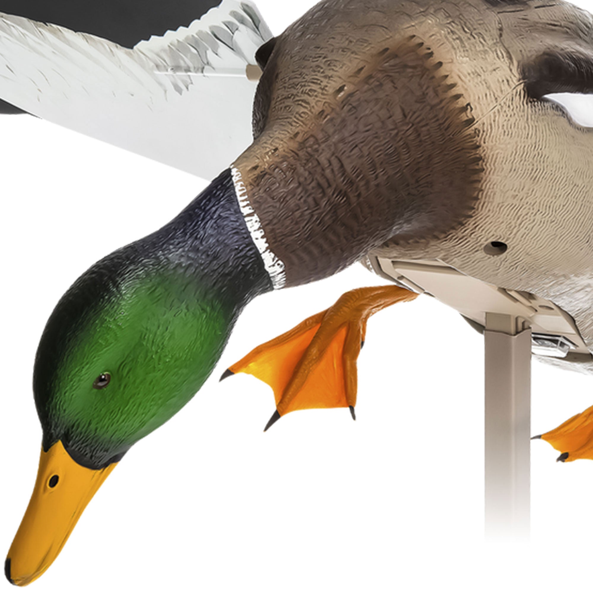 Avian X PowerFlight Smart Motion Mallard Spinning Weatherproof Decoy, 3 Pack