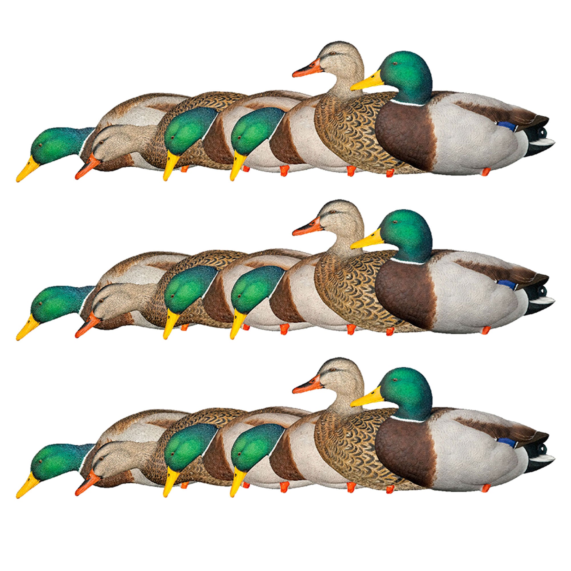 Avian X AXP Full Body Mallards Decoy, Ultra Realistic & Wind Activated, 18 Pack