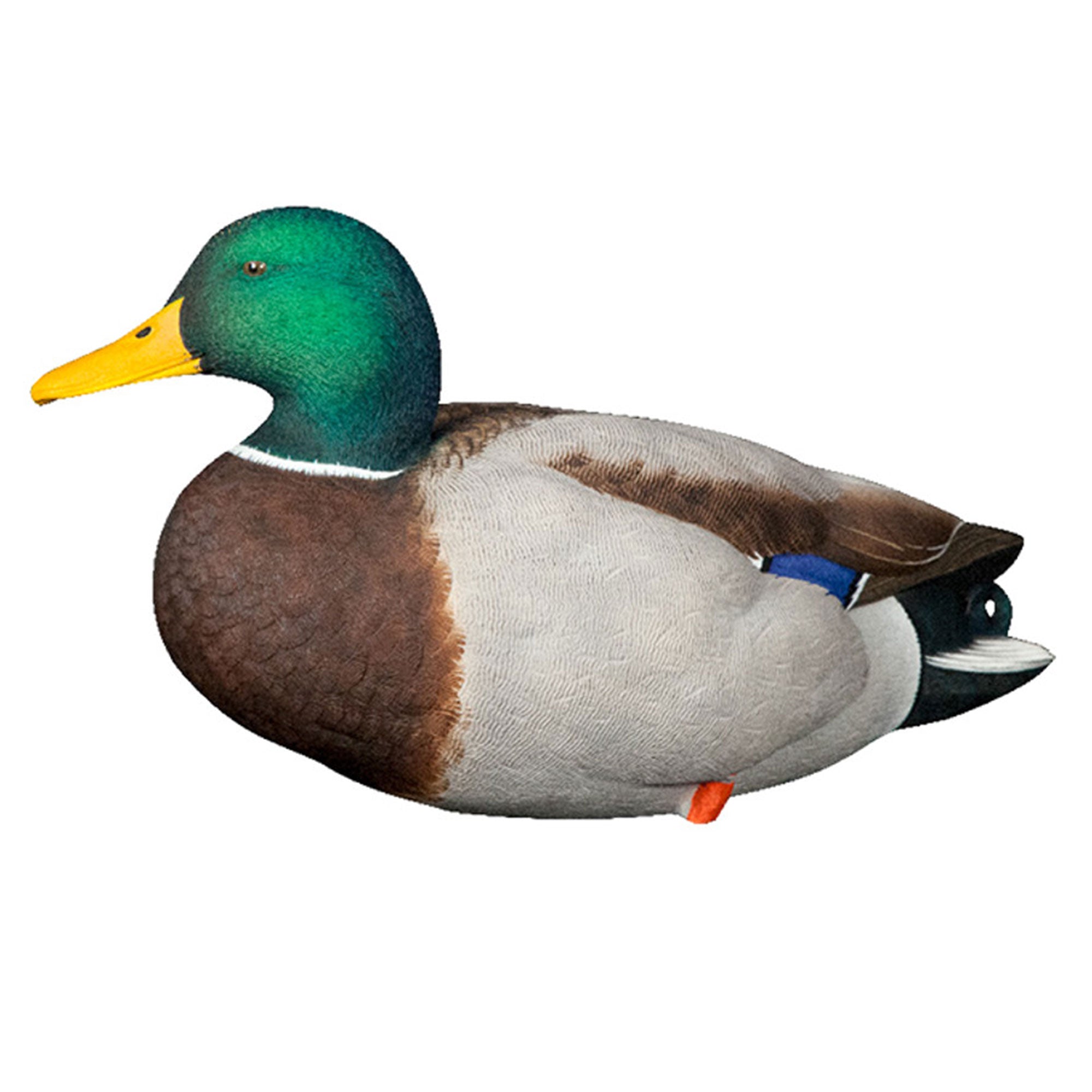 Avian X AXP Full Body Mallards Decoy, Ultra Realistic & Wind Activated, 18 Pack