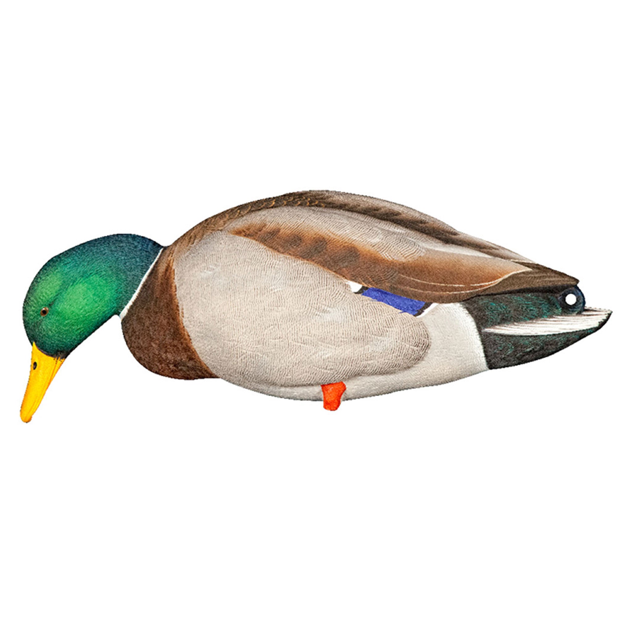 Avian X AXP Full Body Mallards Decoy, Ultra Realistic & Wind Activated, 18 Pack