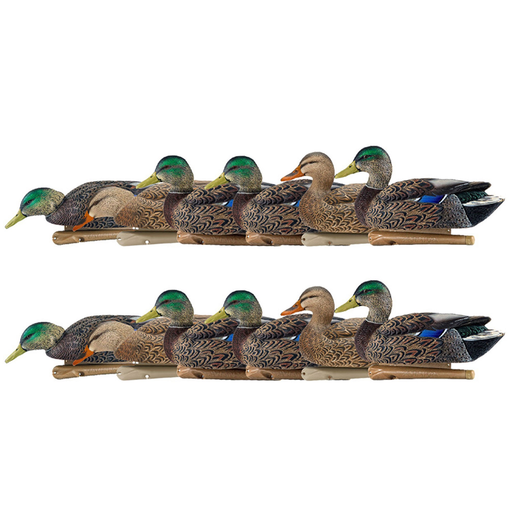 Avian X Topflight Early Season Mallard Duck Realistic Decoy, 12 Pack, Multicolor