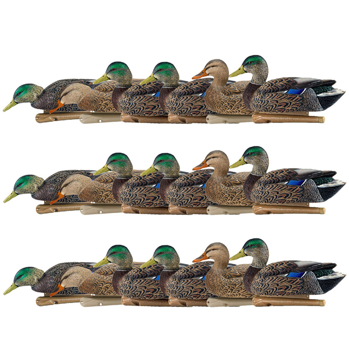 Avian X Topflight Early Season Mallard Duck Realistic Decoy, 18 Pack, Multicolor