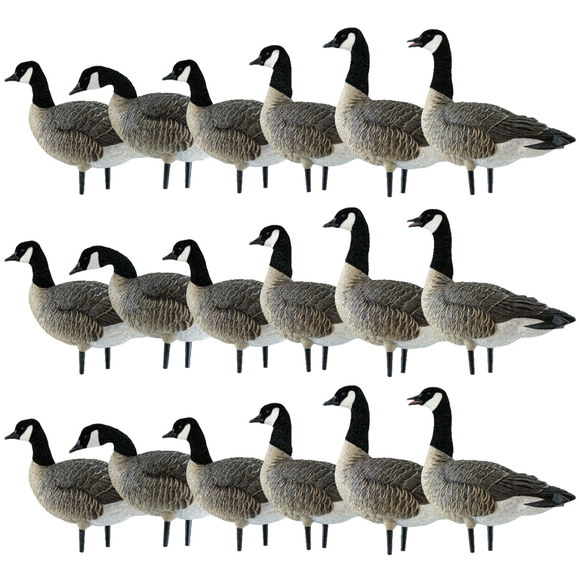 Avian X AXP Honkers Fusion Pack Lesser Canada Goose Decoys, 3 Pack, Multicolor