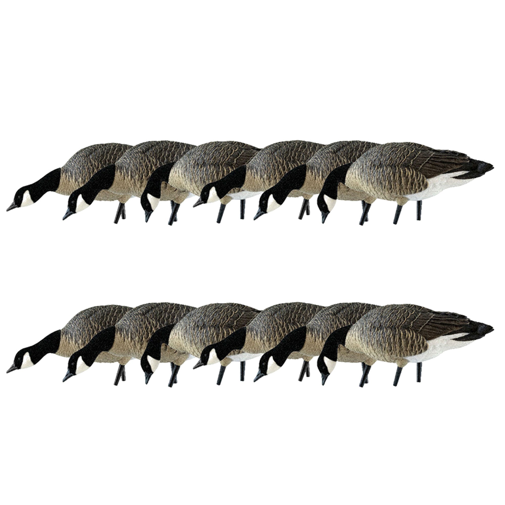 Avian X AXP Honkers Fusion Canada Goose Decoy Realistic Feeder Bodies, Set of 12 - VMInnovations