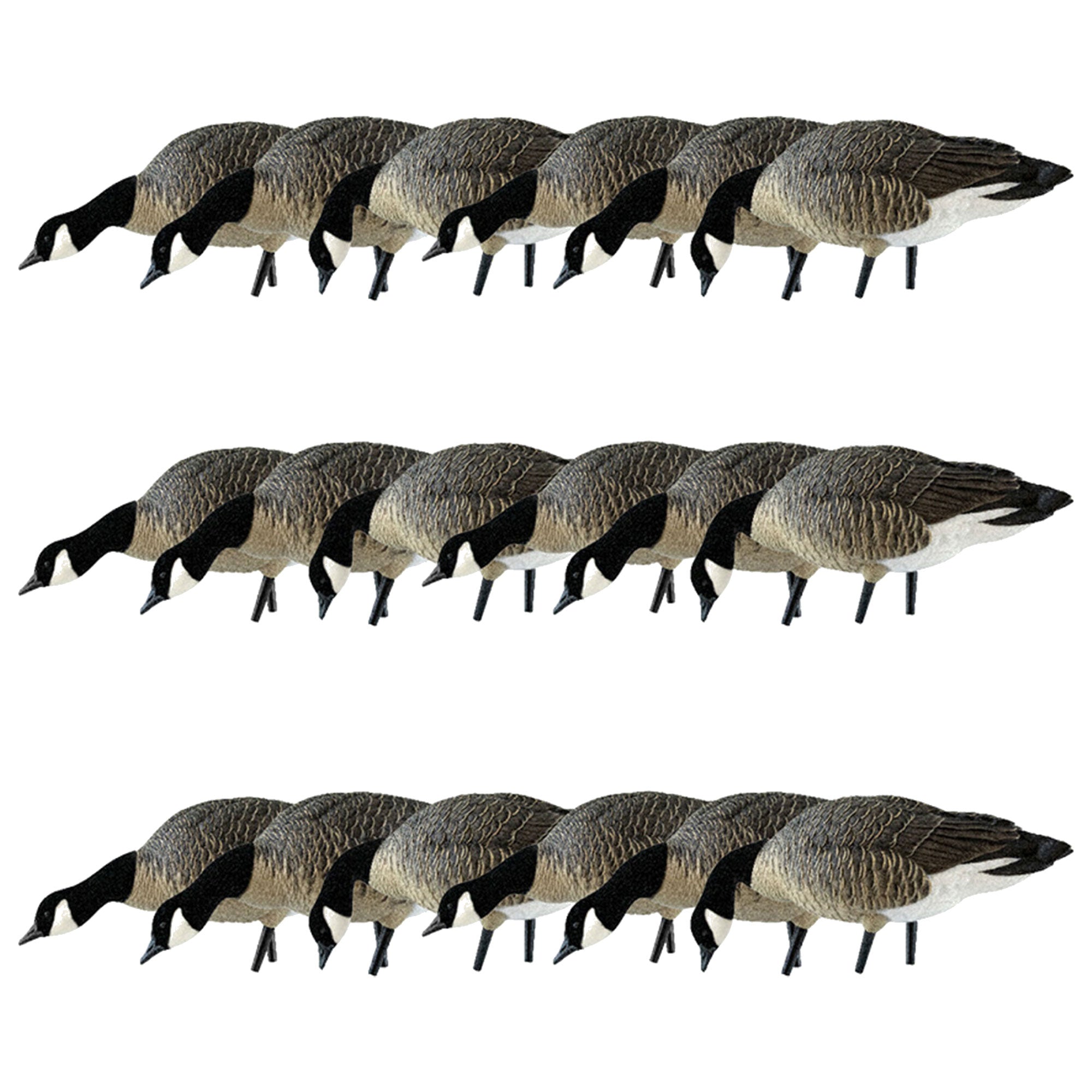 Avian X AXP Honkers Fusion Canada Goose Decoy Realistic Feeder Bodies, Set of 18 - VMInnovations