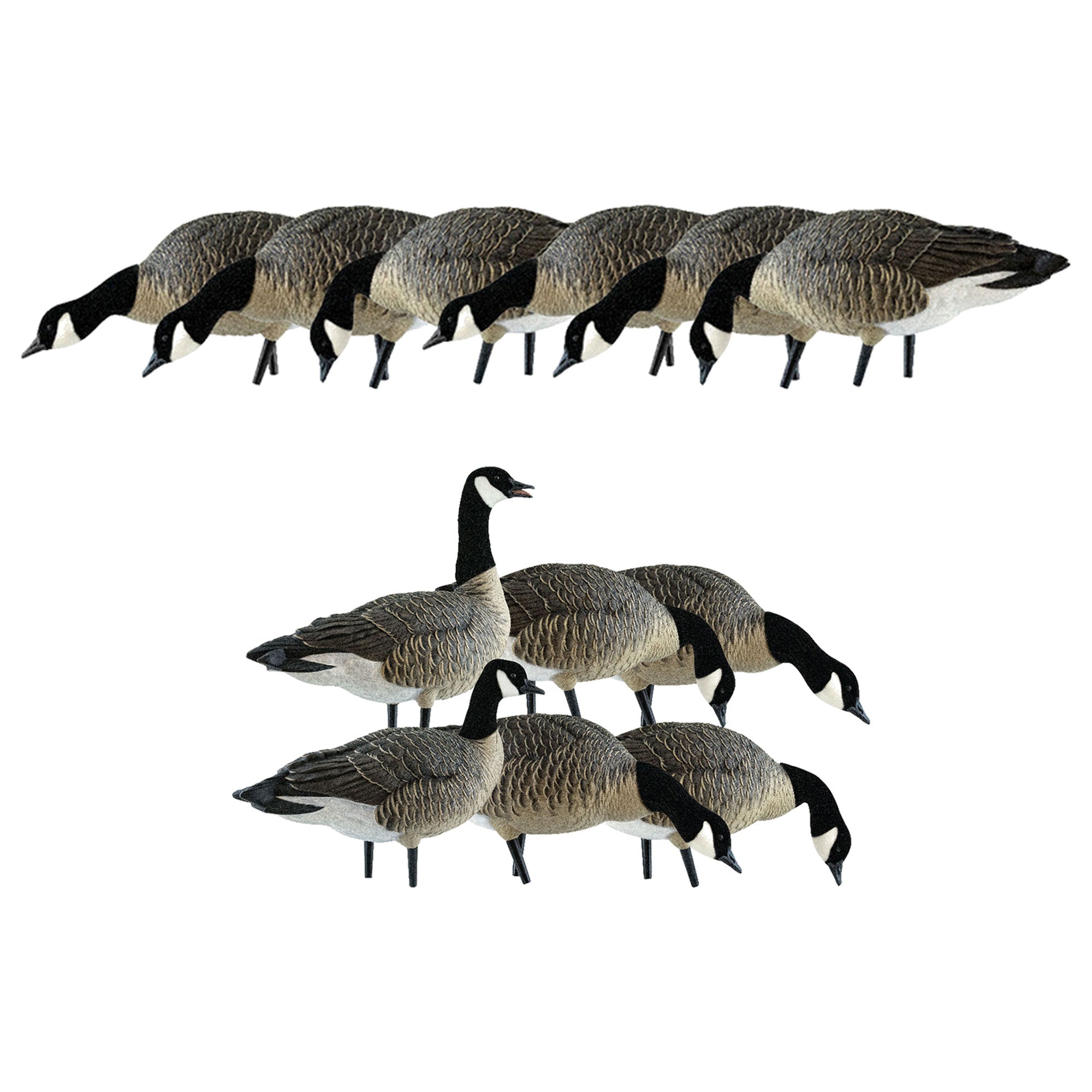 Avian X AXP Honkers Fusion Pack Decoys Bundled with Lessers 6 Piece Fusion Pack