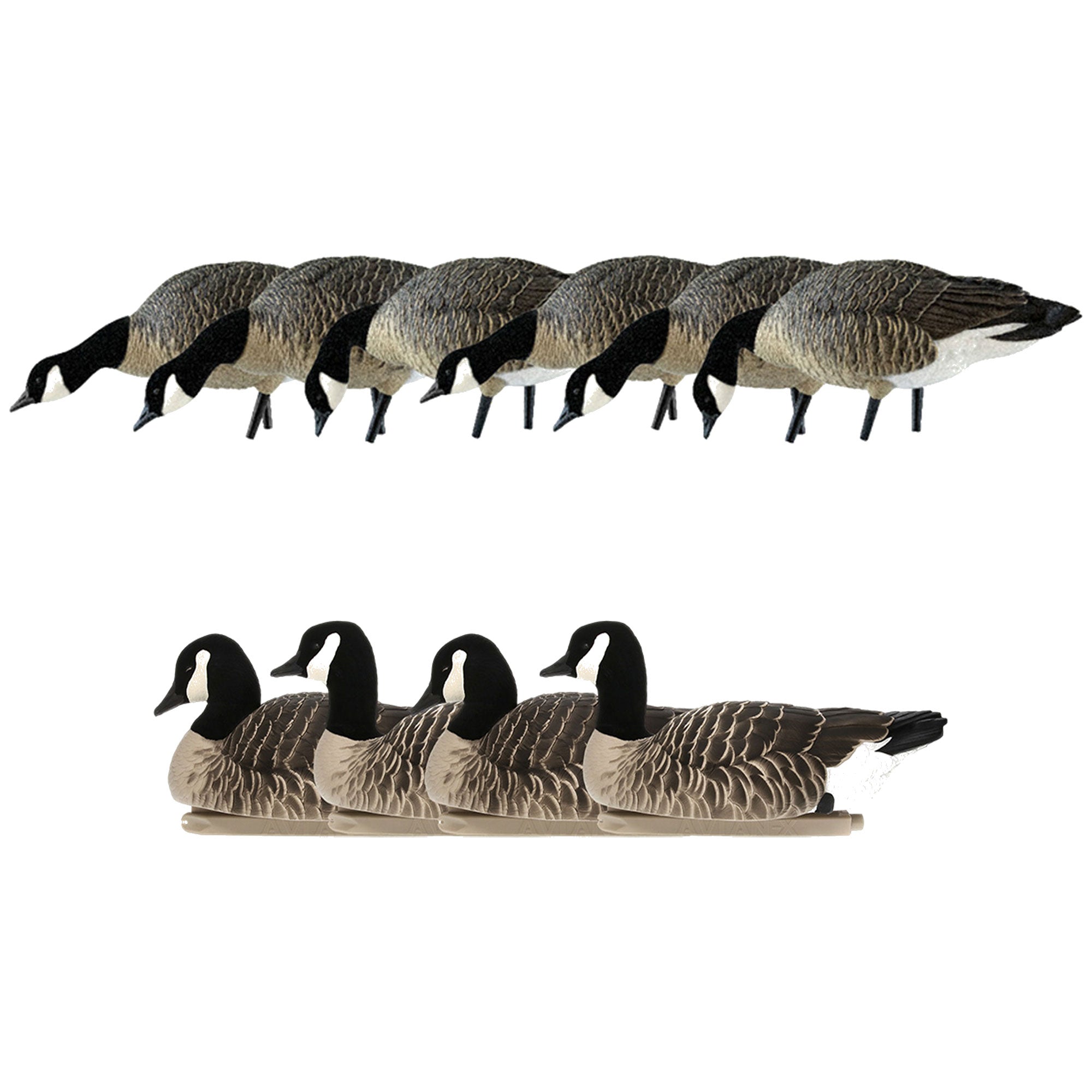 Avian X AXP Honkers Fusion Pack Decoys Bundle w/Topflight Lesser Floating Decoys