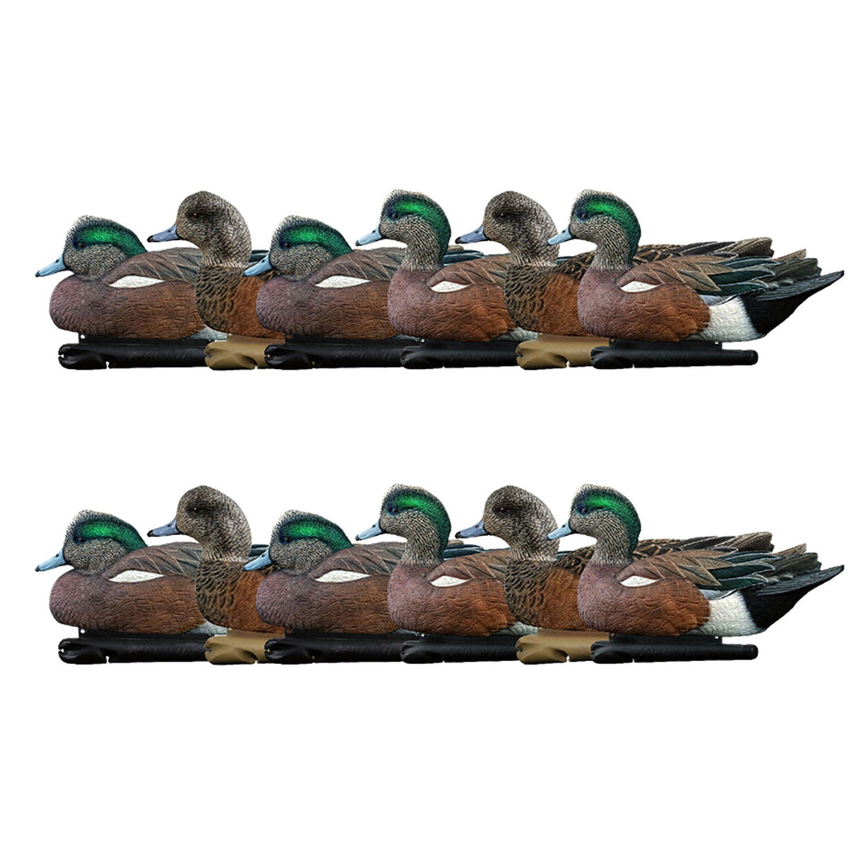 Avian X Topflight Wigeons, Rugged Realistic Floating Decoys, 12 Pack, Multicolor