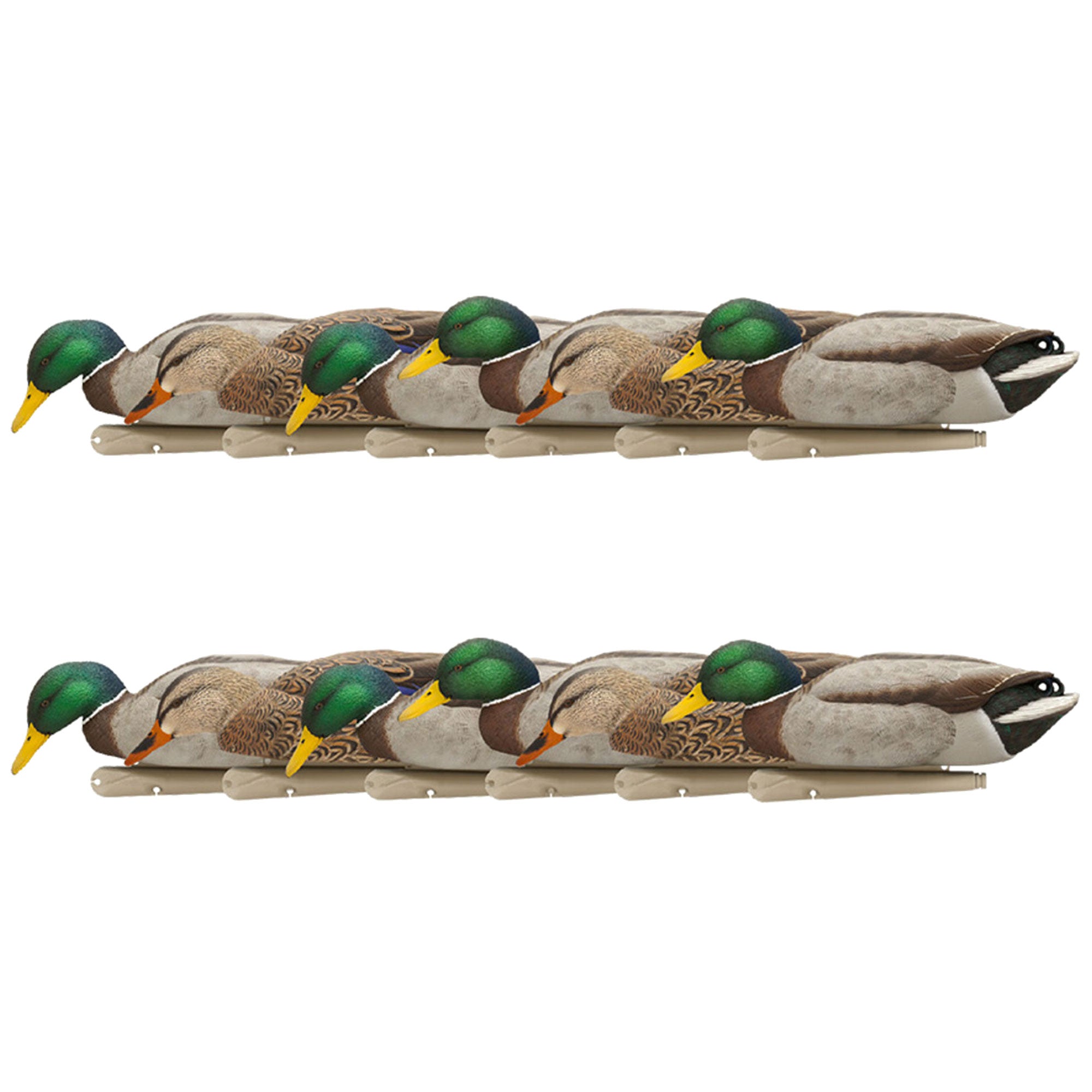 Avian X Topflight Backwater Mallards Decoys, Ultra Realistic Floating, 12 Pack