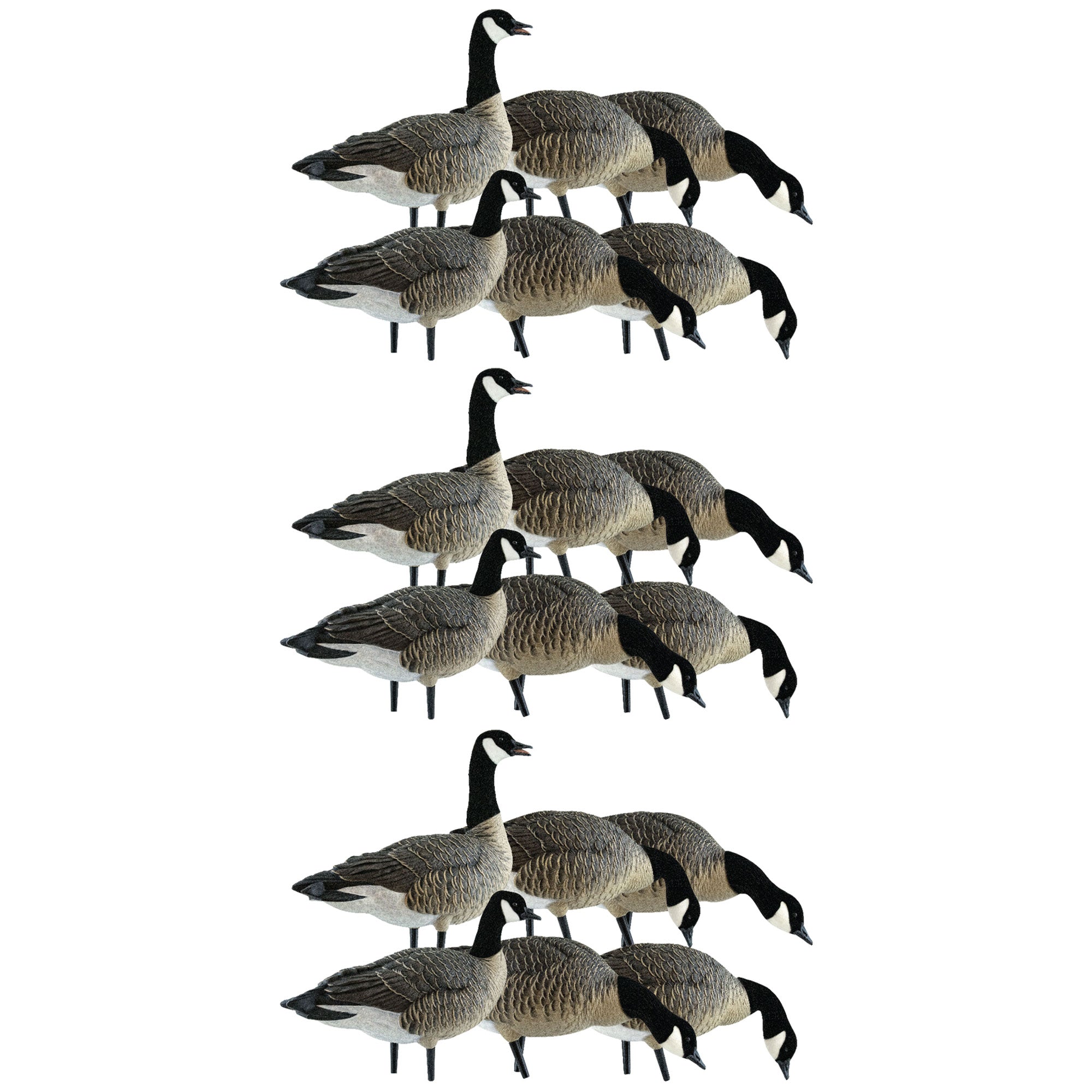 Avian X Lessers 6 Piece Fusion Realistic Goose Outdoor Hunting Decoy, 3 Pack