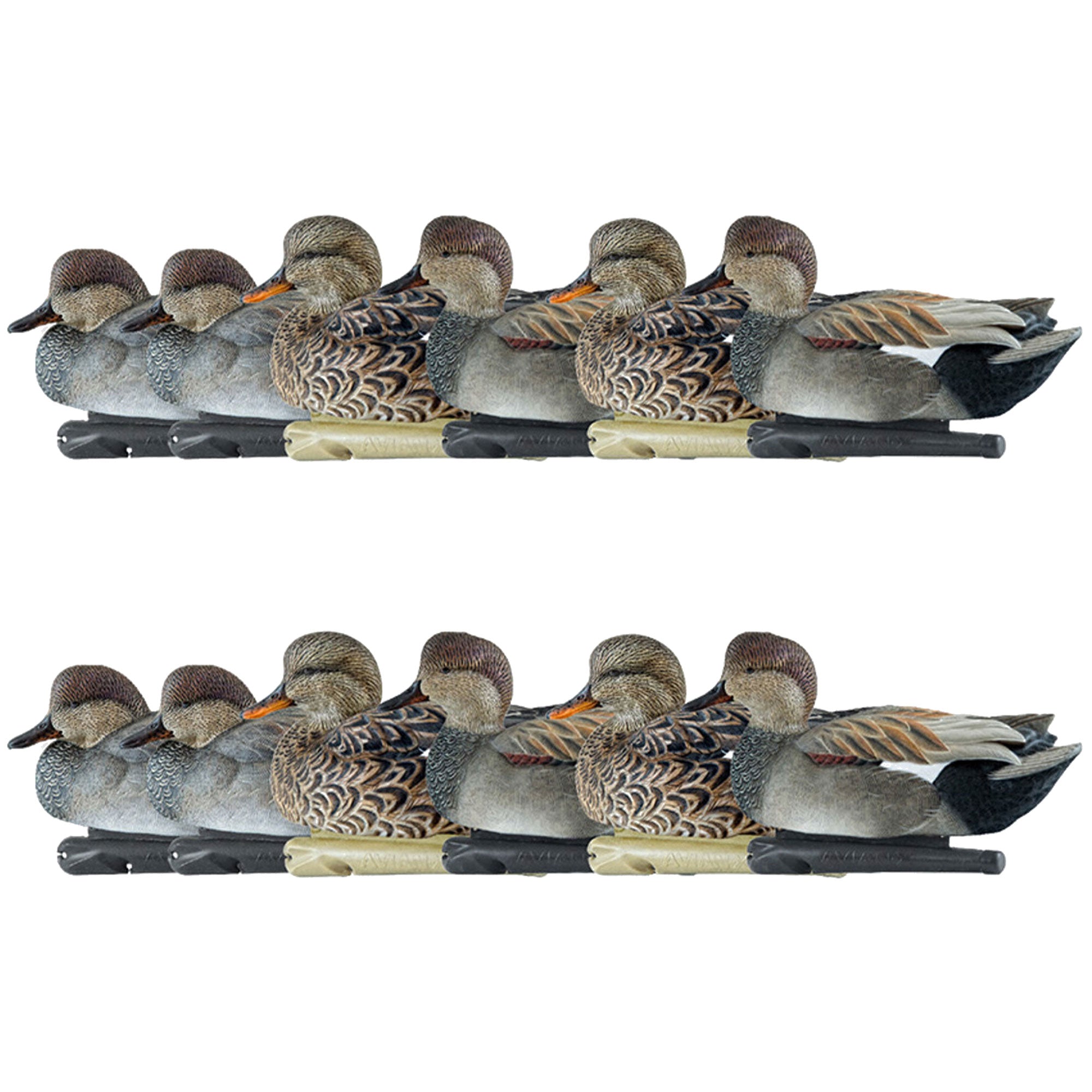 Avian X Topflight Gadwall Decoys Realistic Gray Ducks, Set of 12, Multicolor