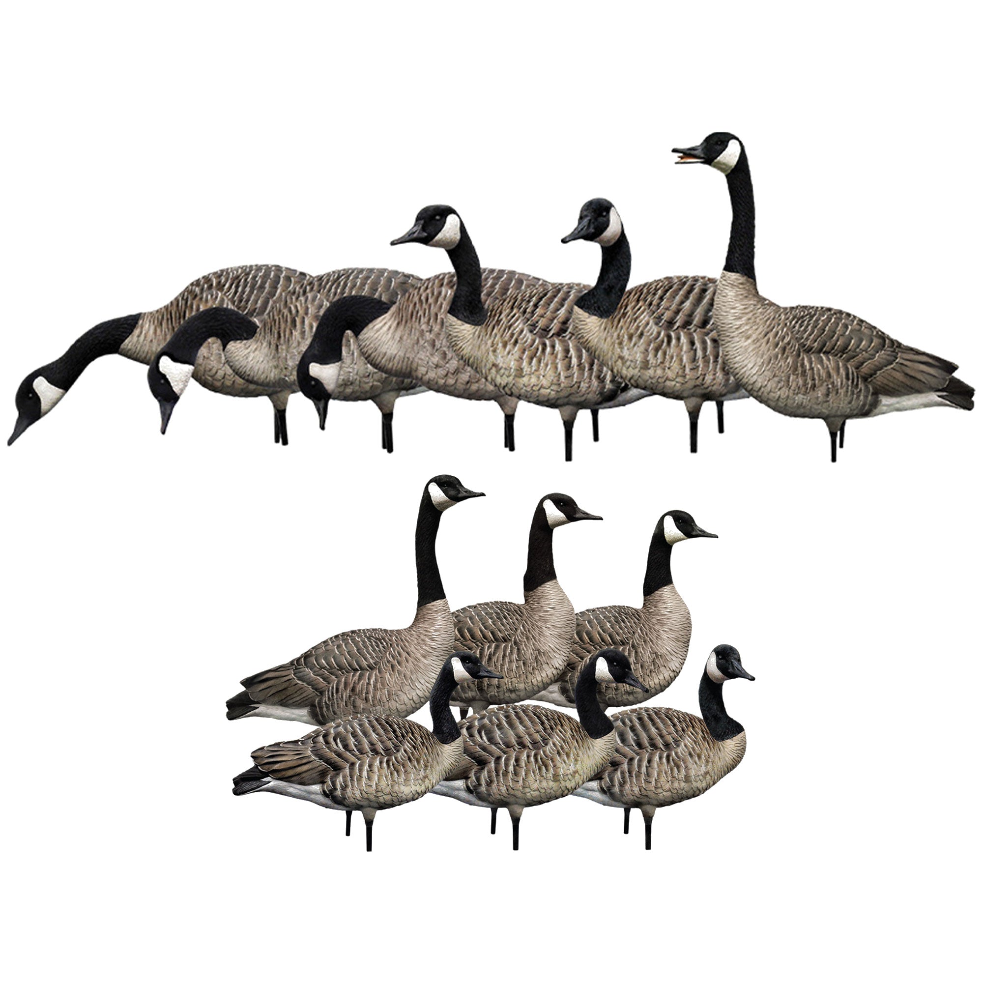 Avian X Honkers Realistic Full Body with AXP 6 Piece Honker Sentry Goose Decoys - VMInnovations