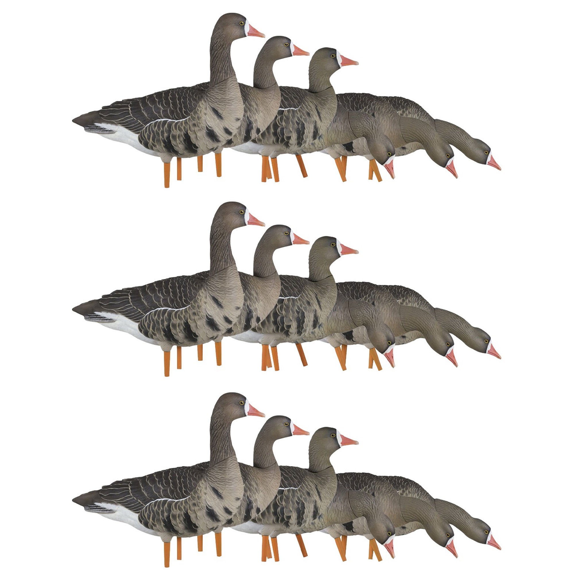 Avian X AXP Specklebelly Decoy Fusion Pack with Lasting Finish and Bag, 18 Pack