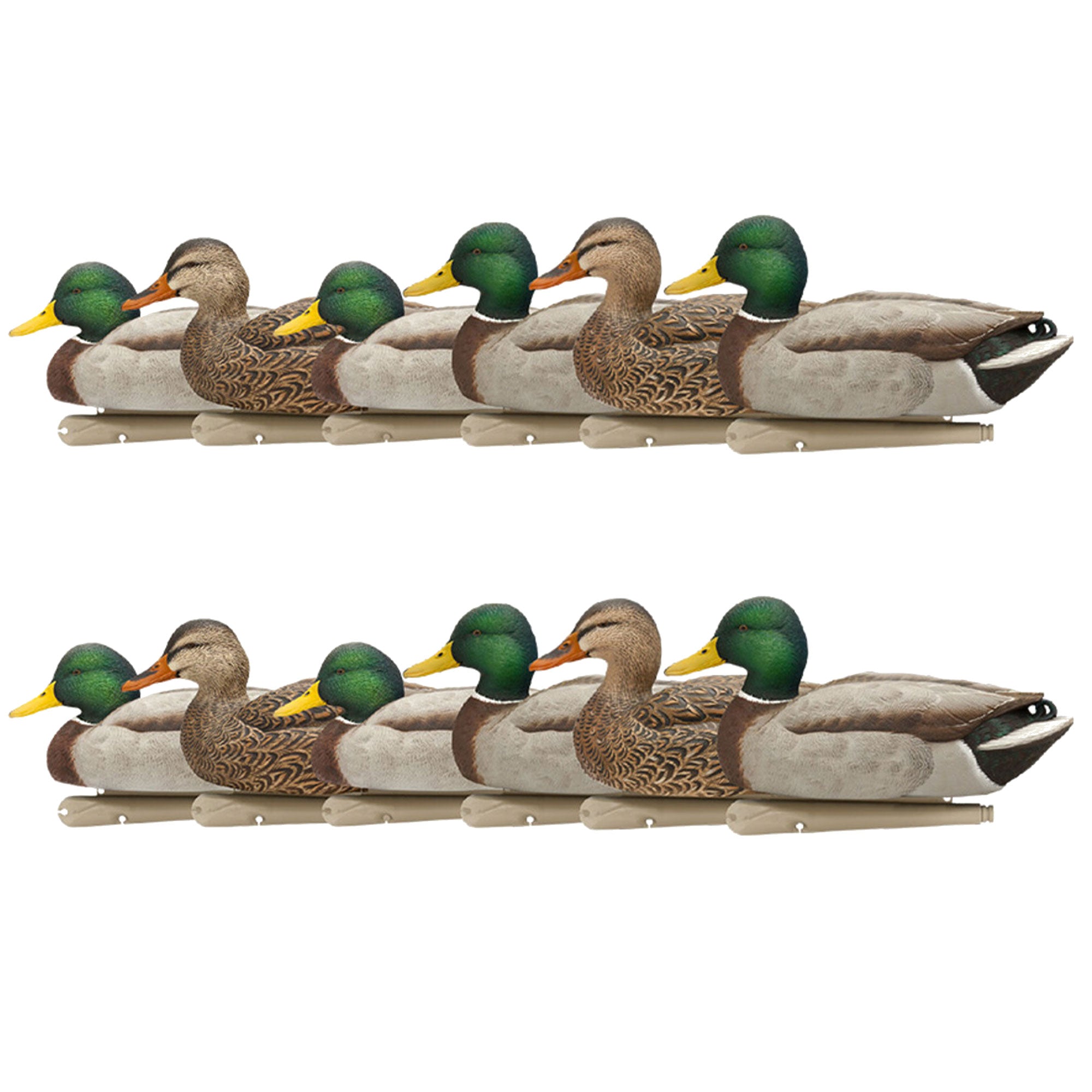Avian X Top Flight Open Water Mallards Decoys, Ultra Realistic Floating, 12 Pack - VMInnovations