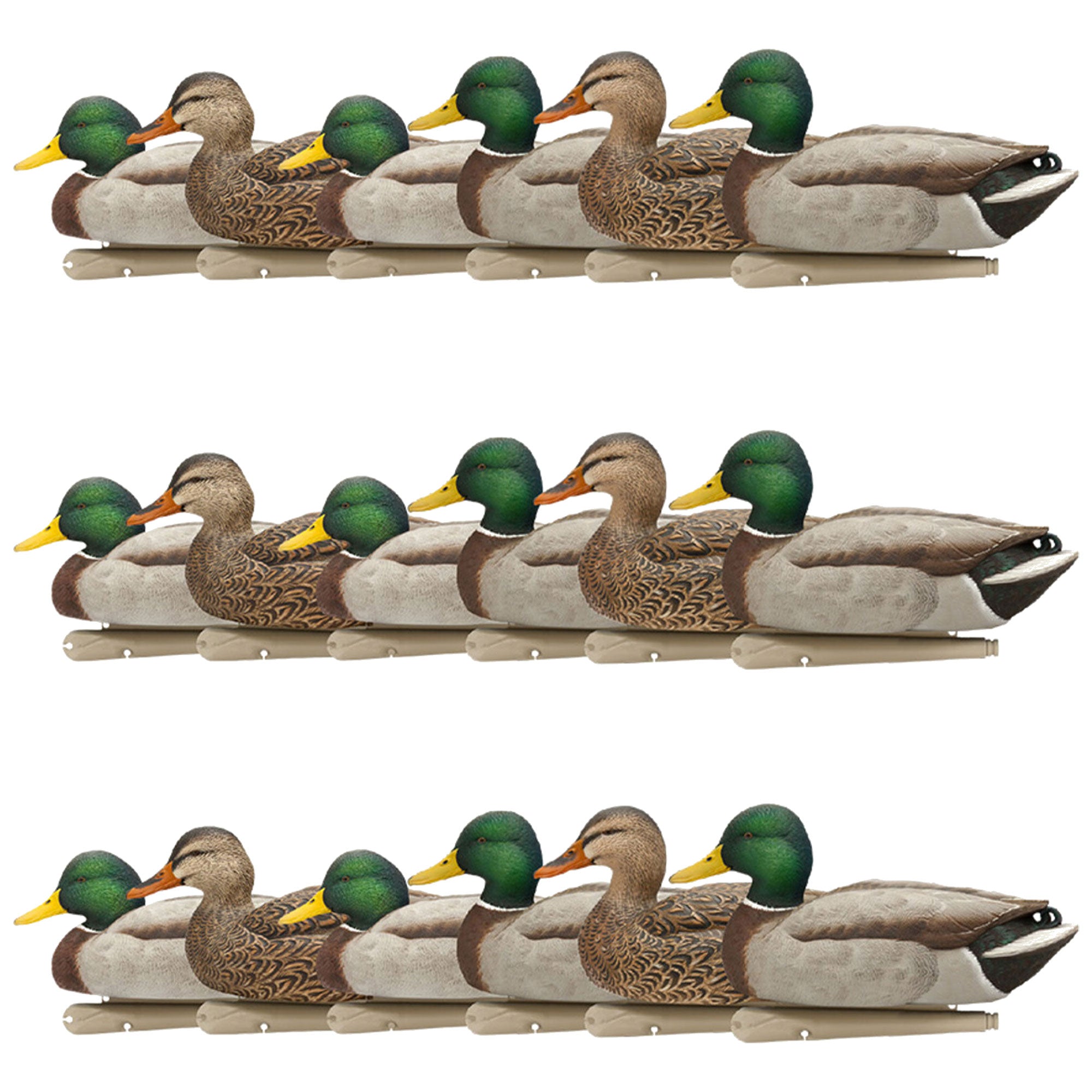 Avian X Top Flight Open Water Mallards Decoys, Ultra Realistic Floating, 18 Pack - VMInnovations