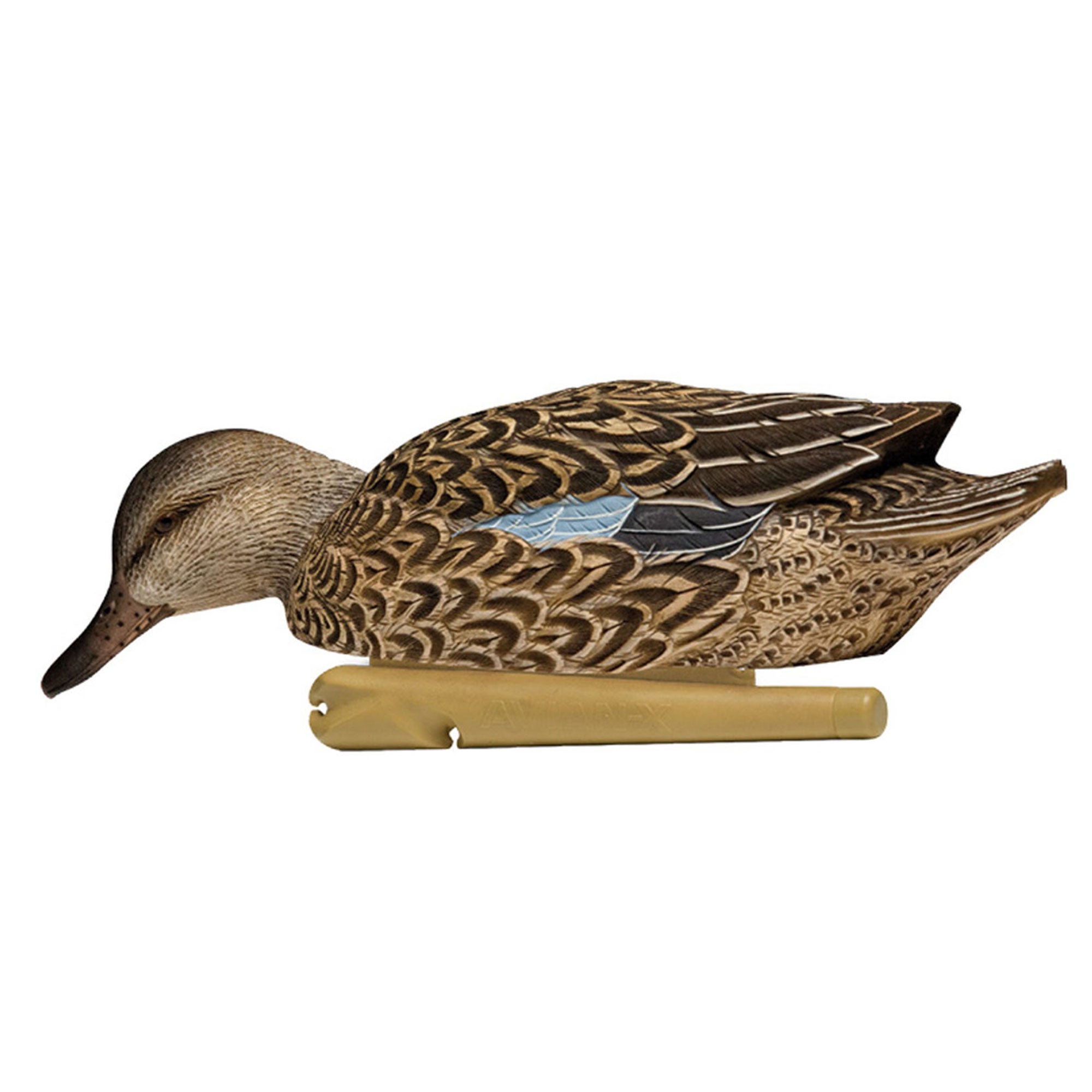 Avian X Topflight Early Season Teal w/ Realistic True to Life Postures, 12 Pack - VMInnovations