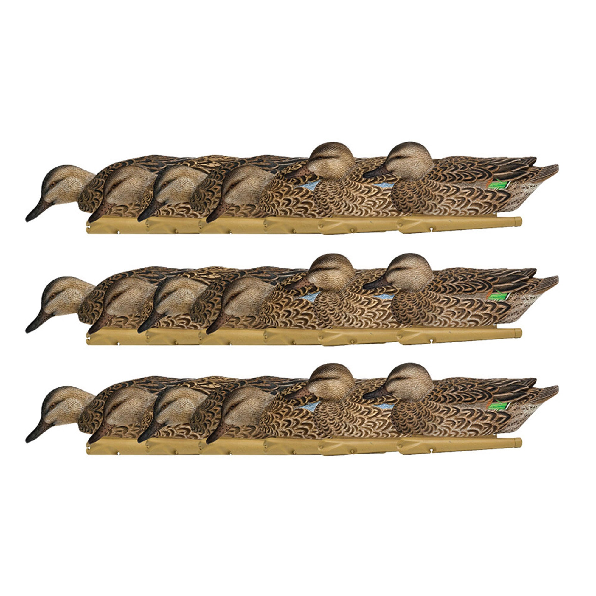 Avian X Topflight Early Season Teal w/ Realistic True to Life Postures, 18 Pack