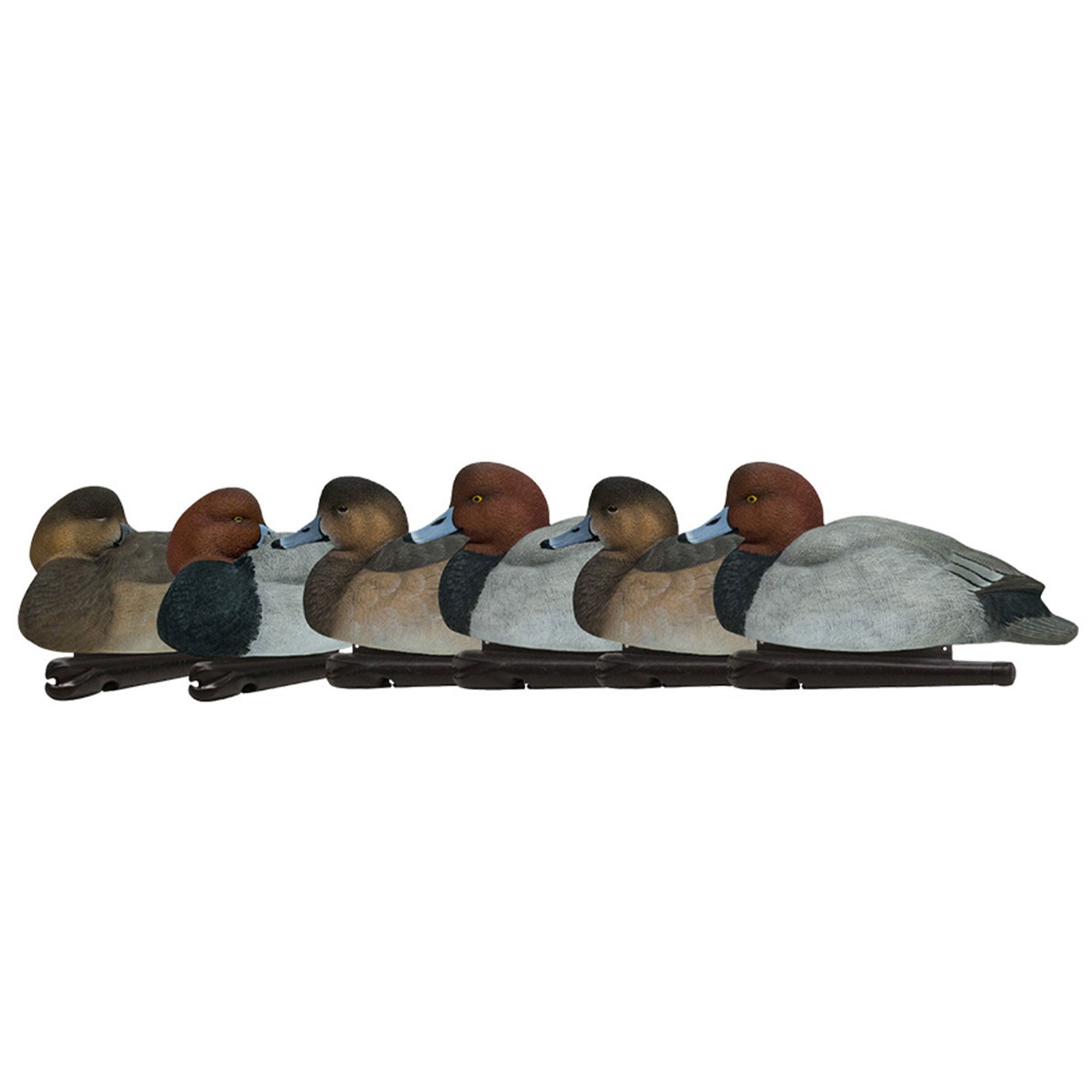 Avian X Topflight Redheads Realistic Decoys w/ Weight Forward Swim Keel, 18 Pack
