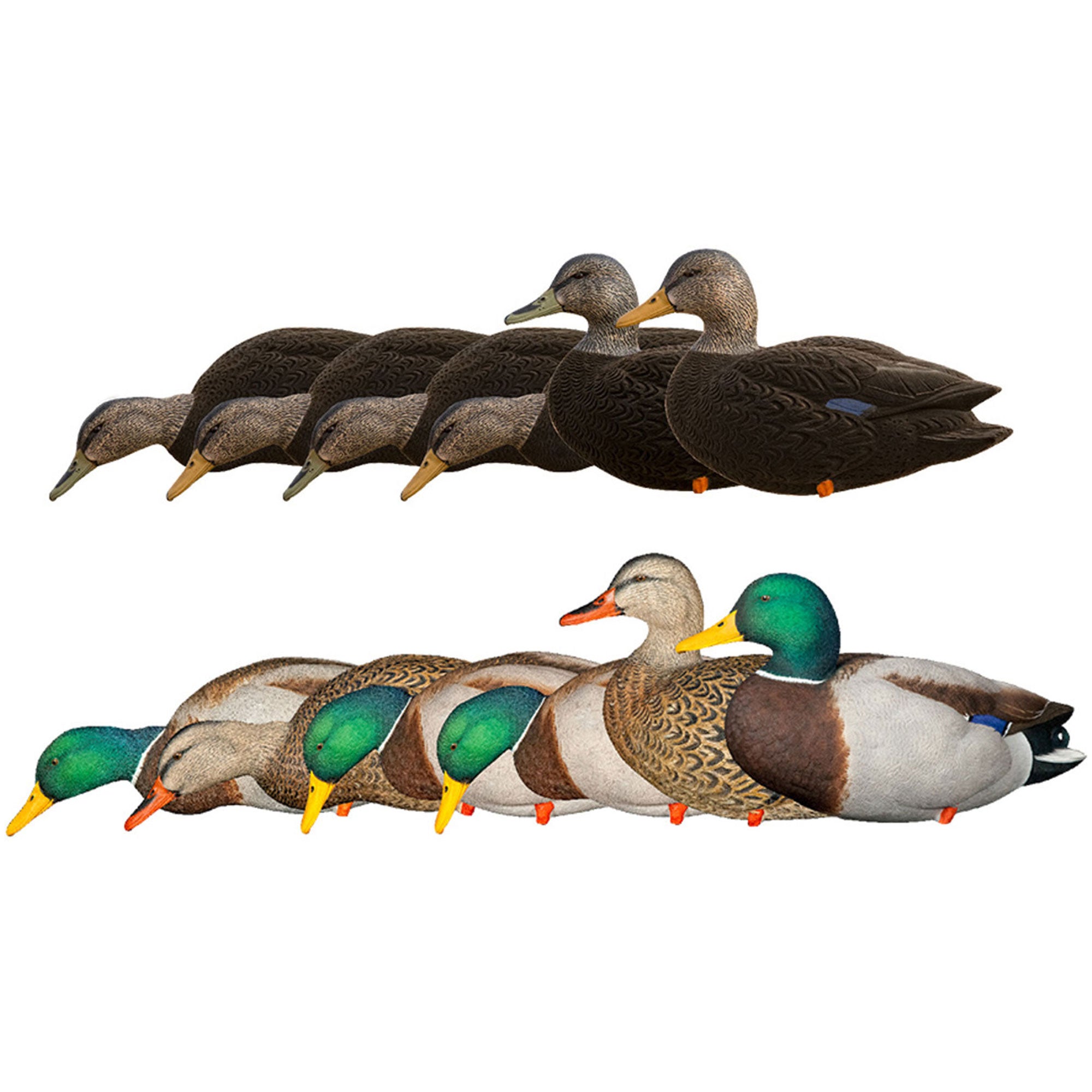 Avian X AXF Black Ducks Decoys Bundled with AXP Mallards Decoys, Wind Activated - VMInnovations