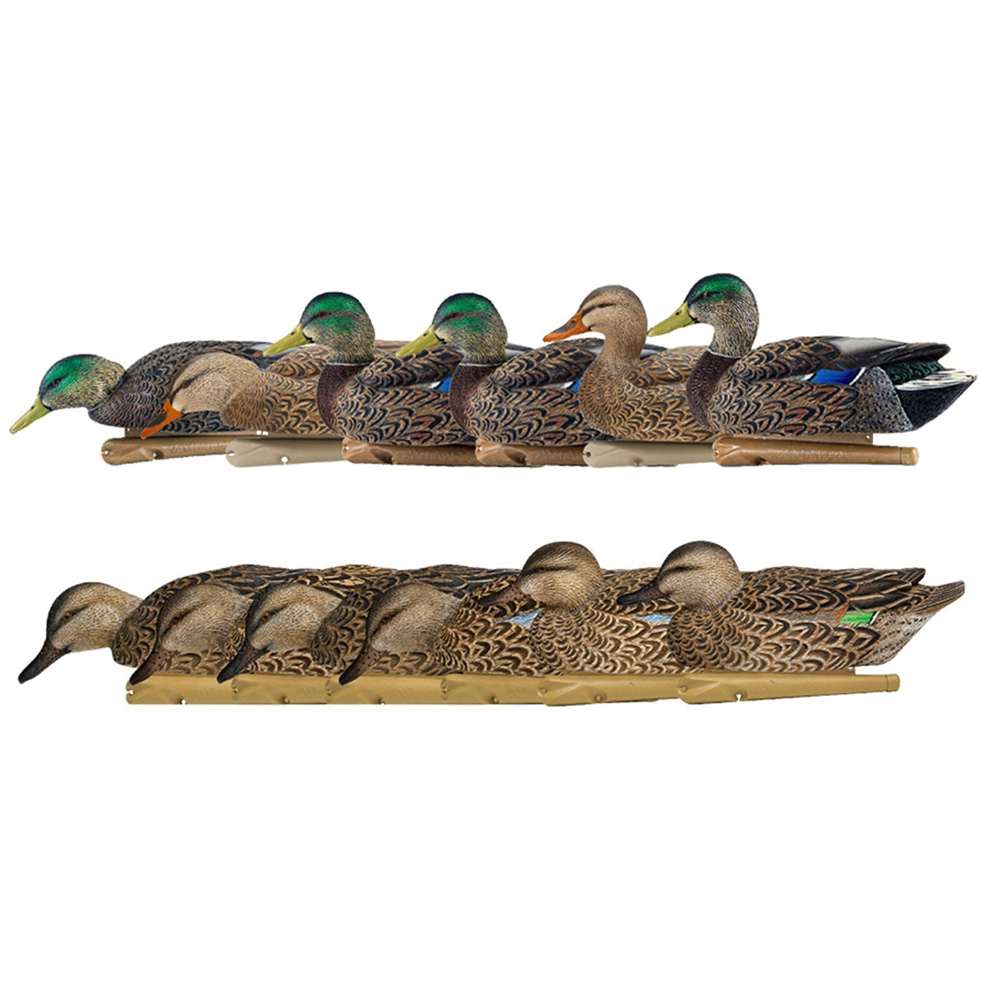Avian X Topflight Mallard Duck, 6 Pack, with Early Season Teal Decoys, 6 Pack
