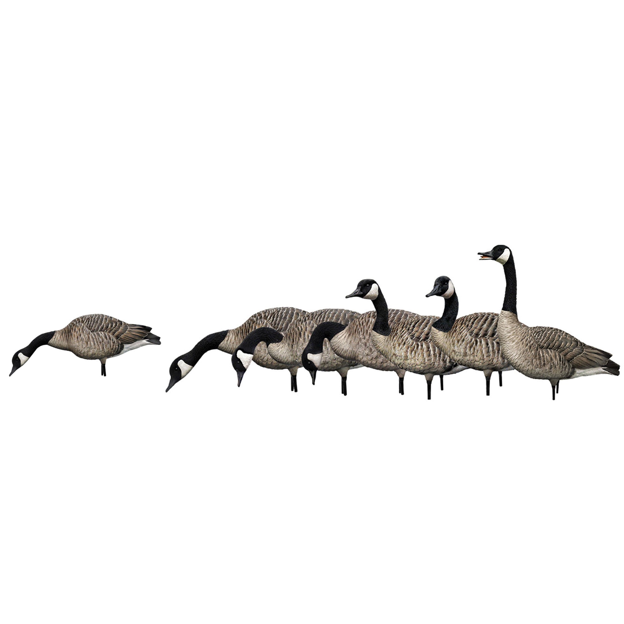 Avian X AXP Honkers Goose Decoy Feeder with AXP Full Body Canada Goose Decoys