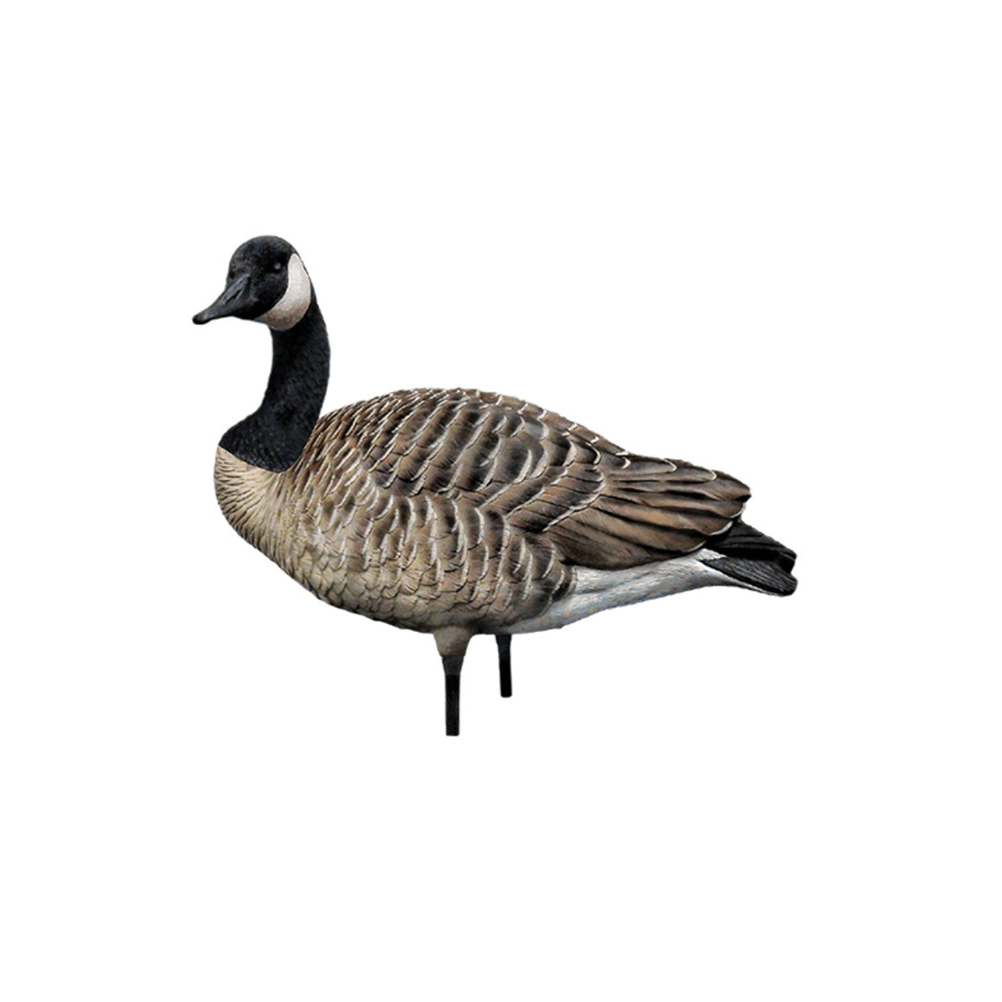 Avian X AXP Honkers Goose Decoy Feeder with AXP Full Body Canada Goose Decoys