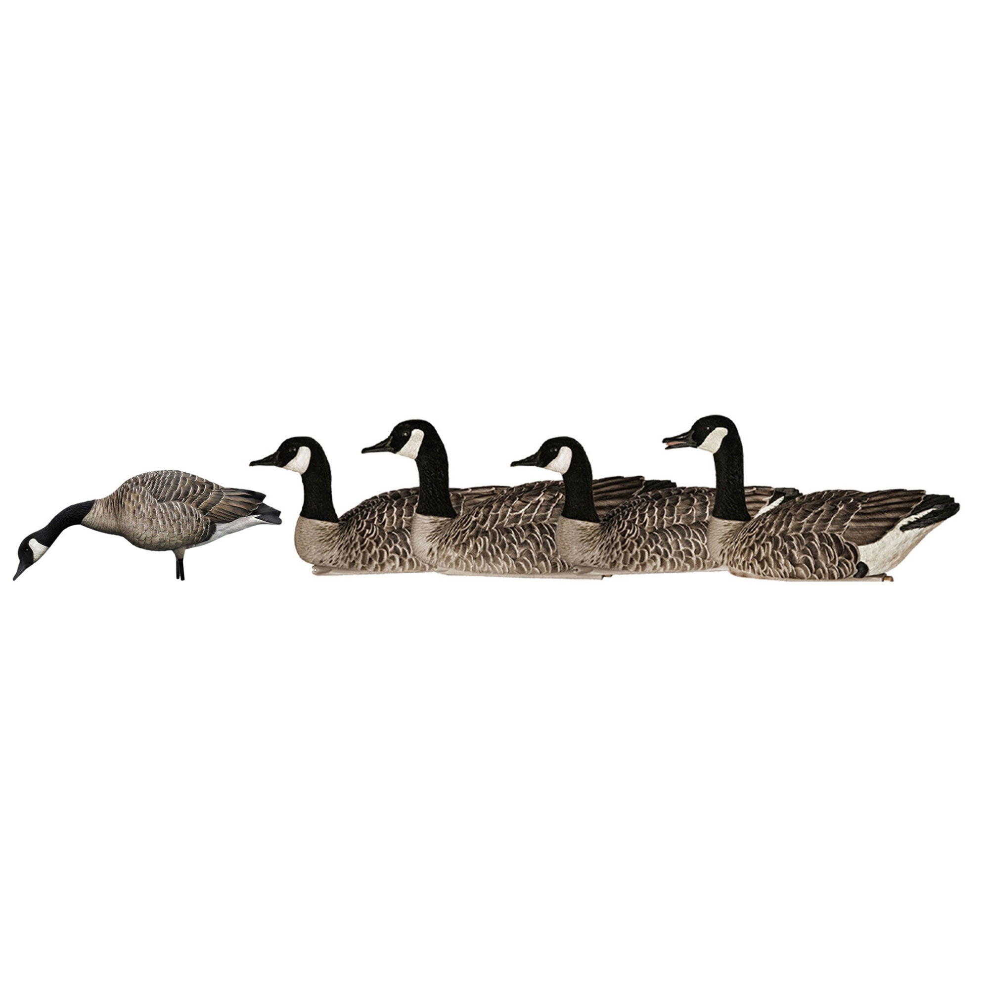Avian X AXP Honkers Full Body Goose Decoy with Topflight Floaters for Hunting