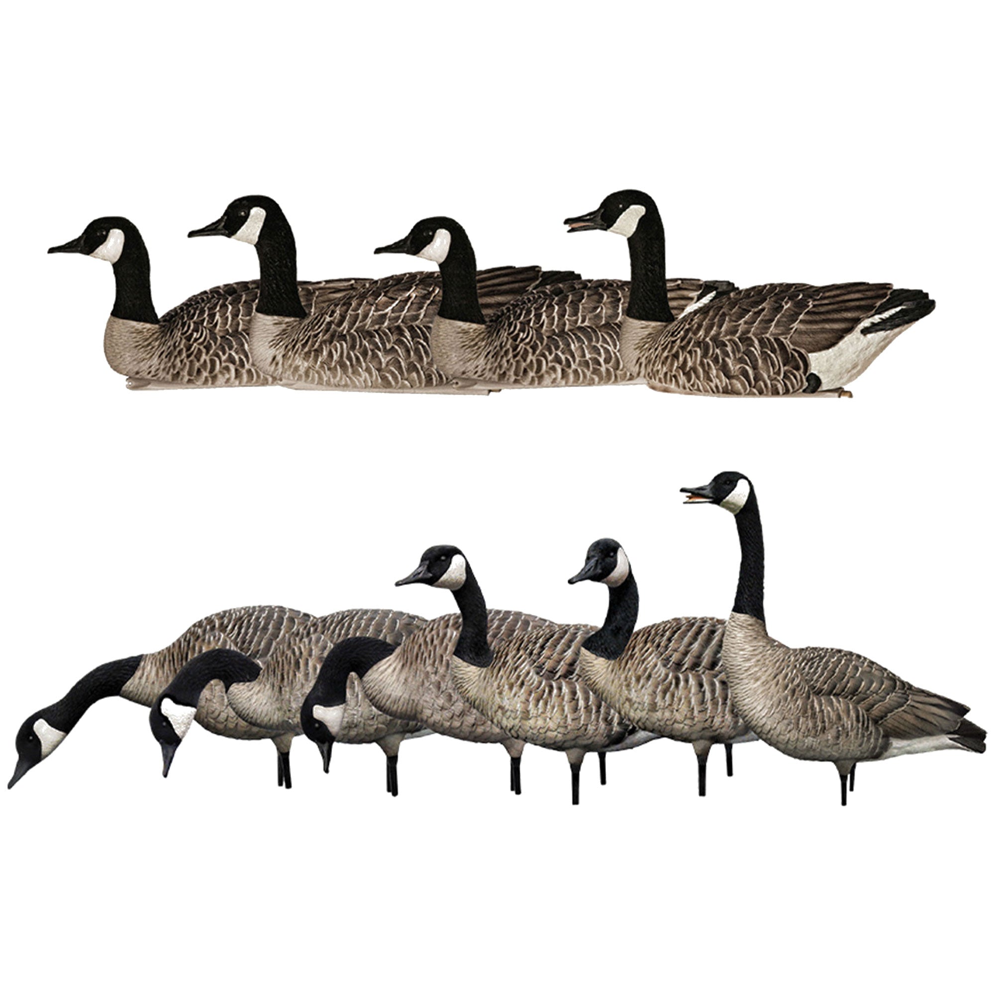 Avian X Topflight Honker Floaters Bundled with X AXP Honkers Canada Goose Decoys