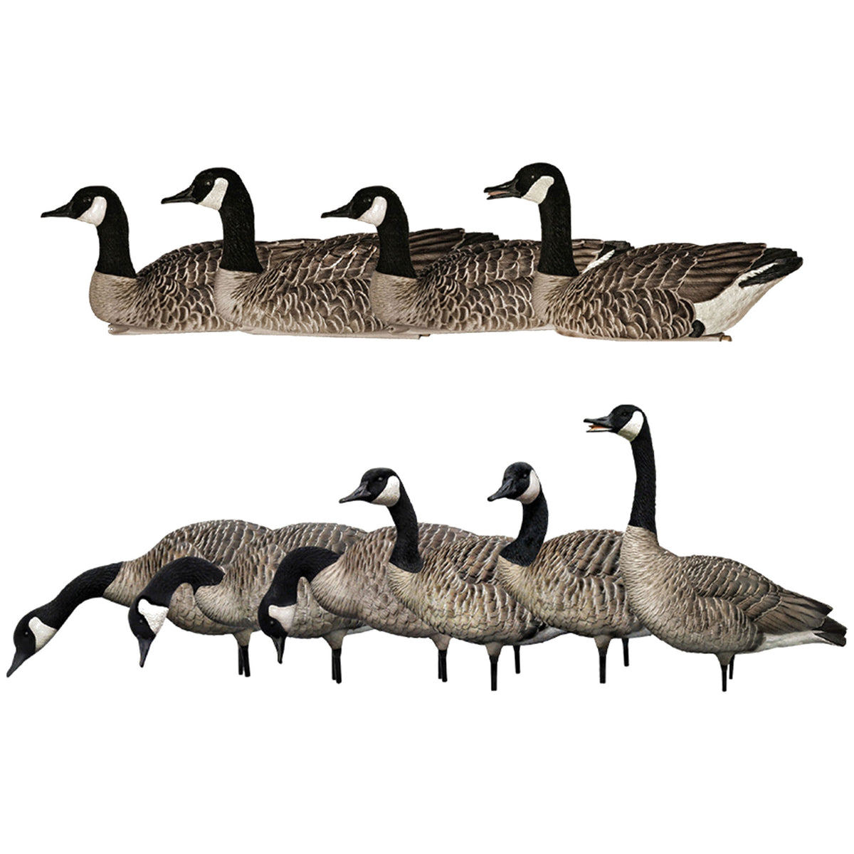 Avian X Topflight Honker Floaters Bundled with X AXP Honkers Canada Goose Decoys