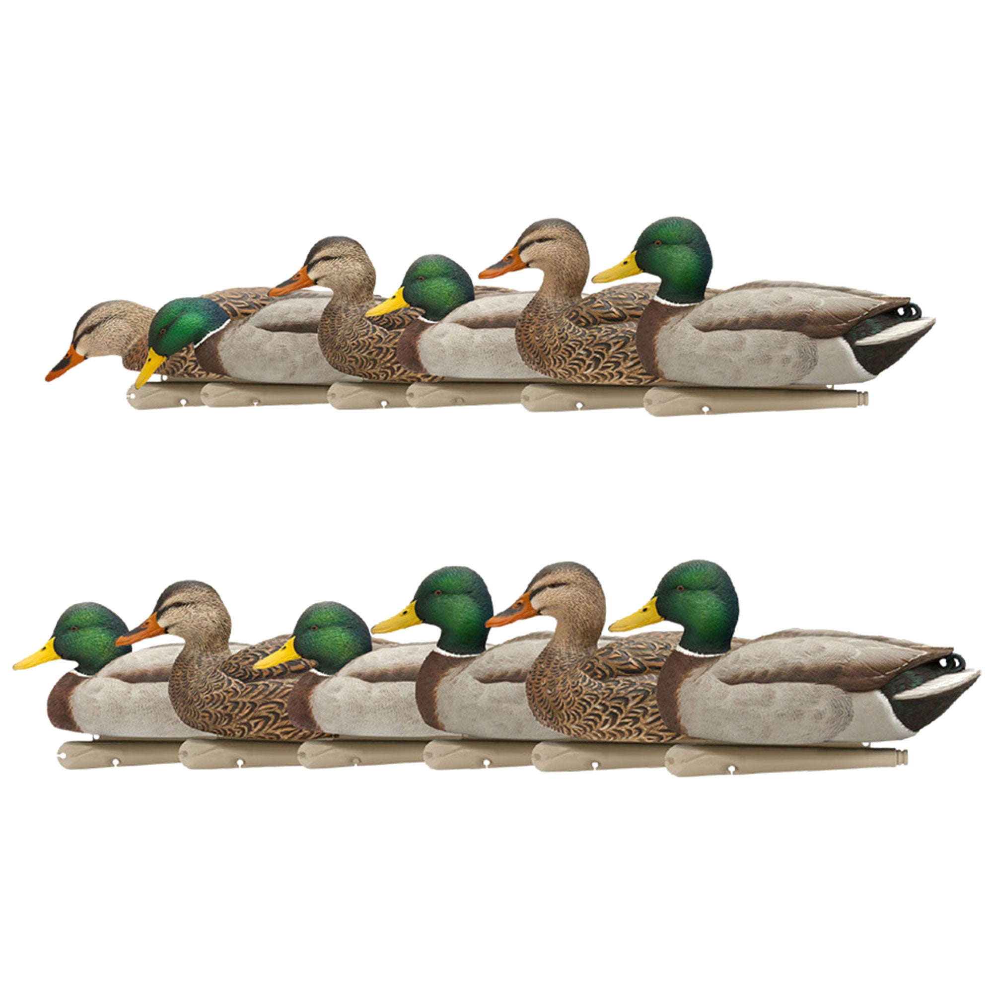 Avian X Topflight Fusion Mallards and Top Flight Open Water Mallards Decoys - VMInnovations
