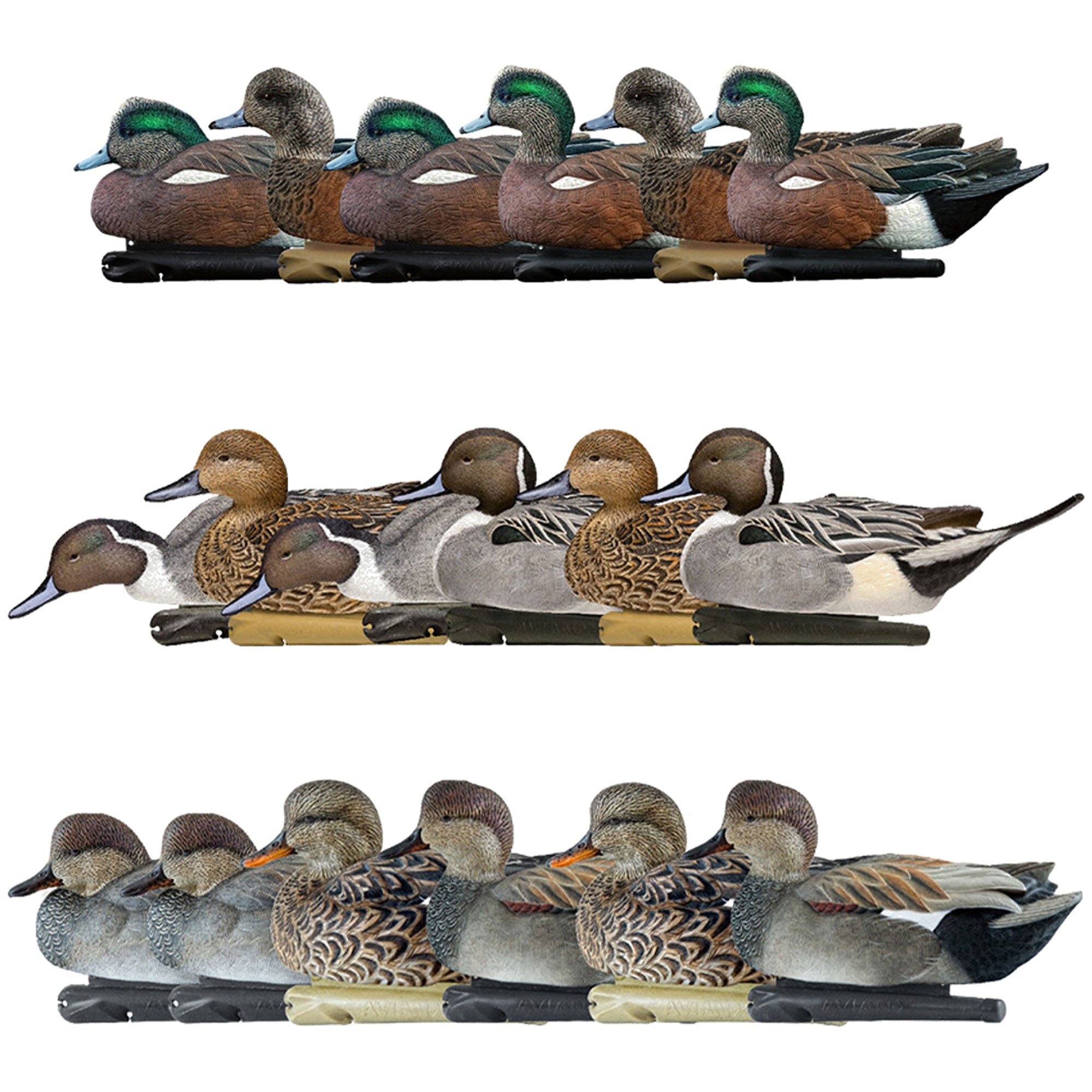Avian X Wigeons Decoys Bundled with Pintails and Gadwall Decoys, Multicolor