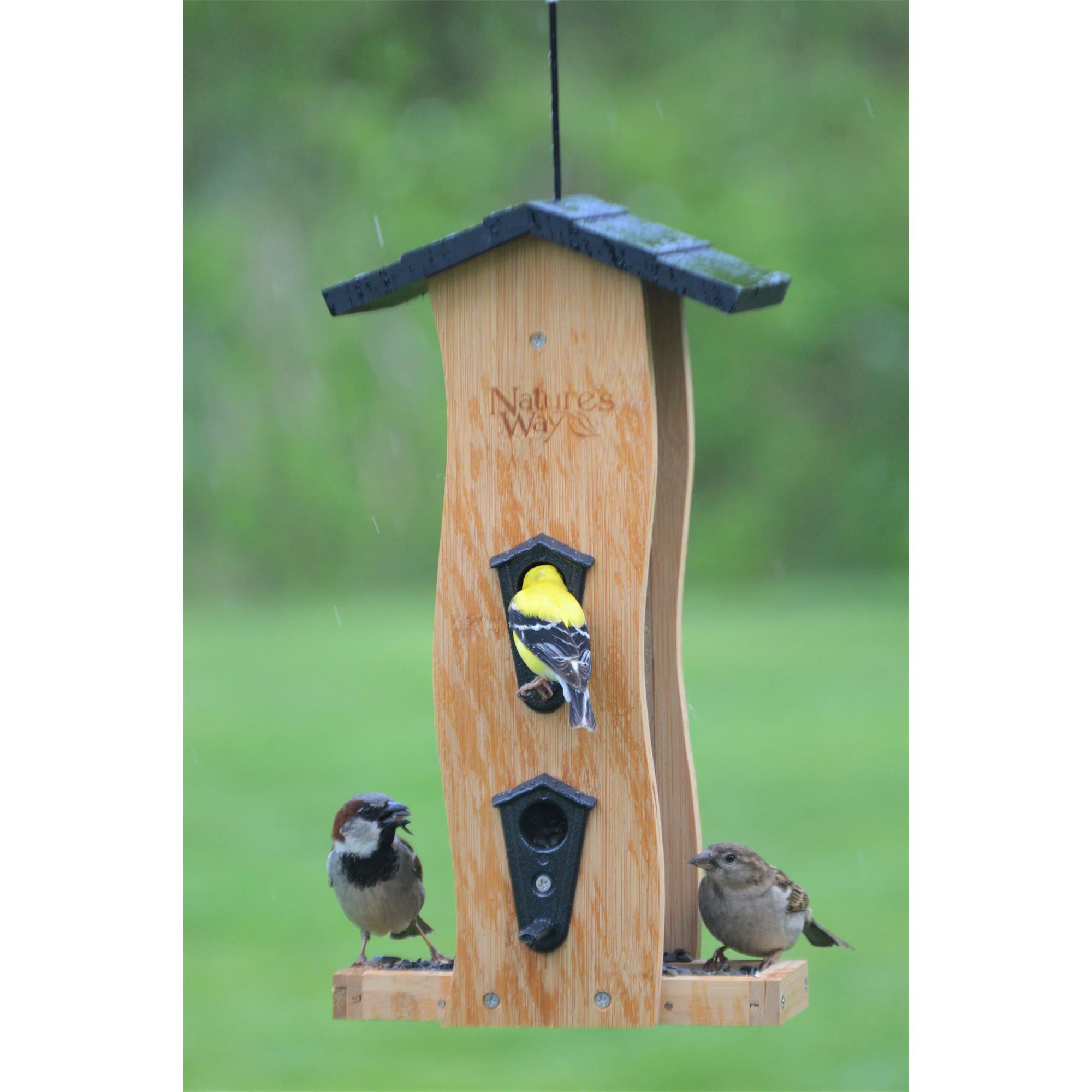 Nature's Way 2 Pack Bamboo Bird Feeder with Removable Fresh Seed Tray for Birds - VMInnovations