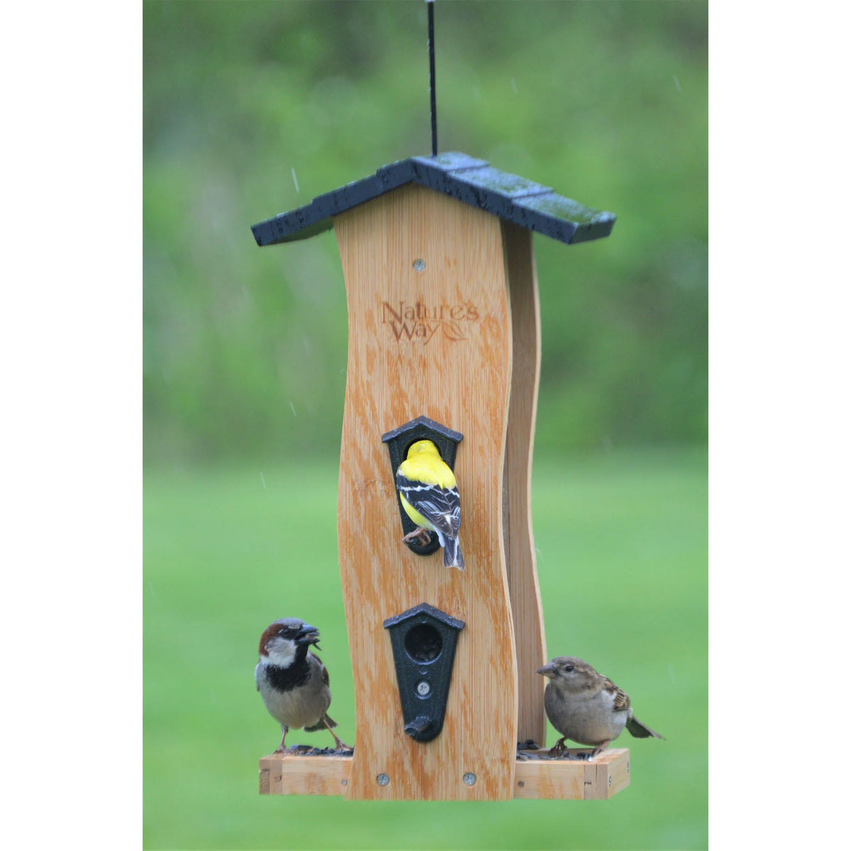 Nature's Way 2 Pack Bamboo Bird Feeder with Removable Fresh Seed Tray for Birds