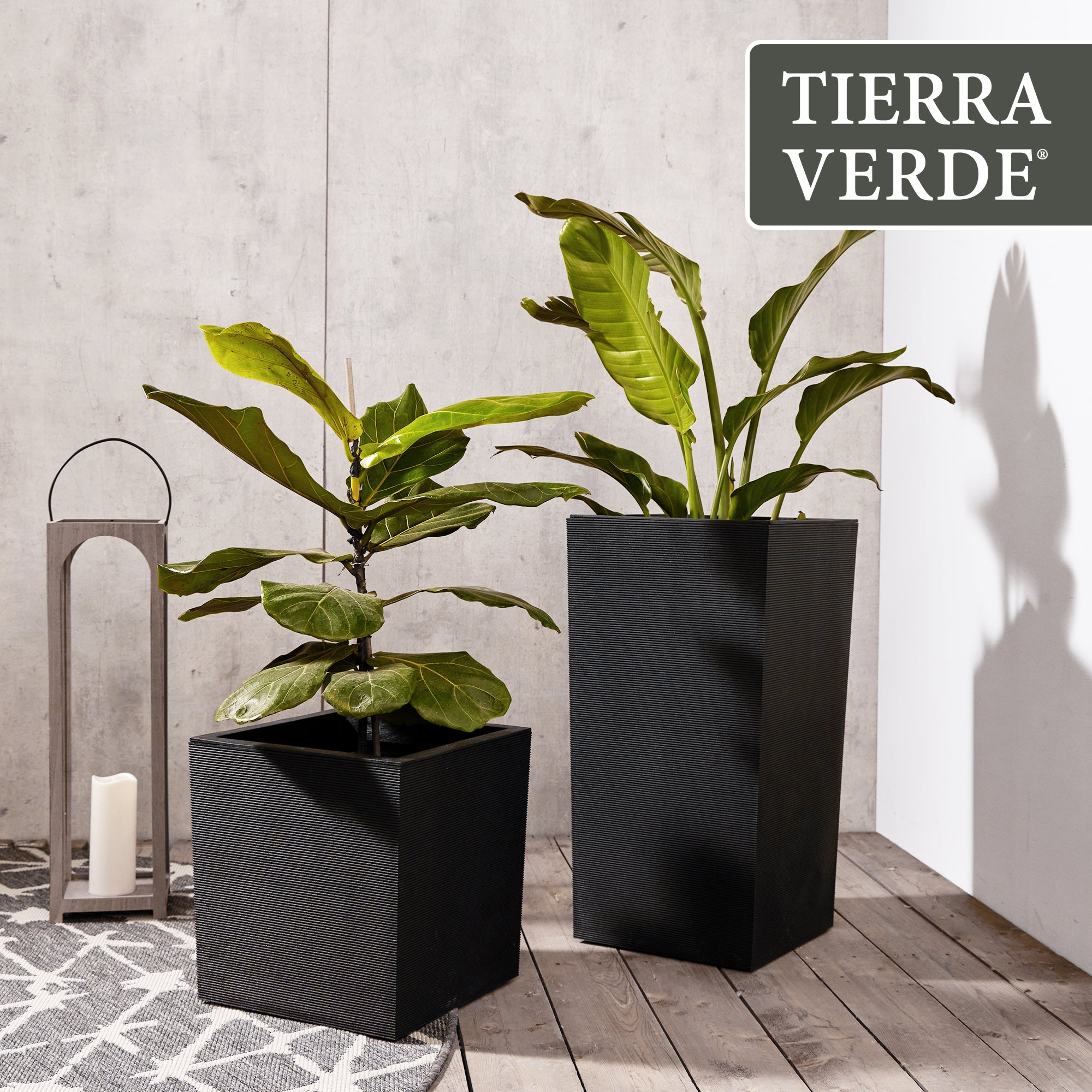 Tierra Verde Citadel Horizon Self Watering Square Planter, Black (Open Box) - VMInnovations