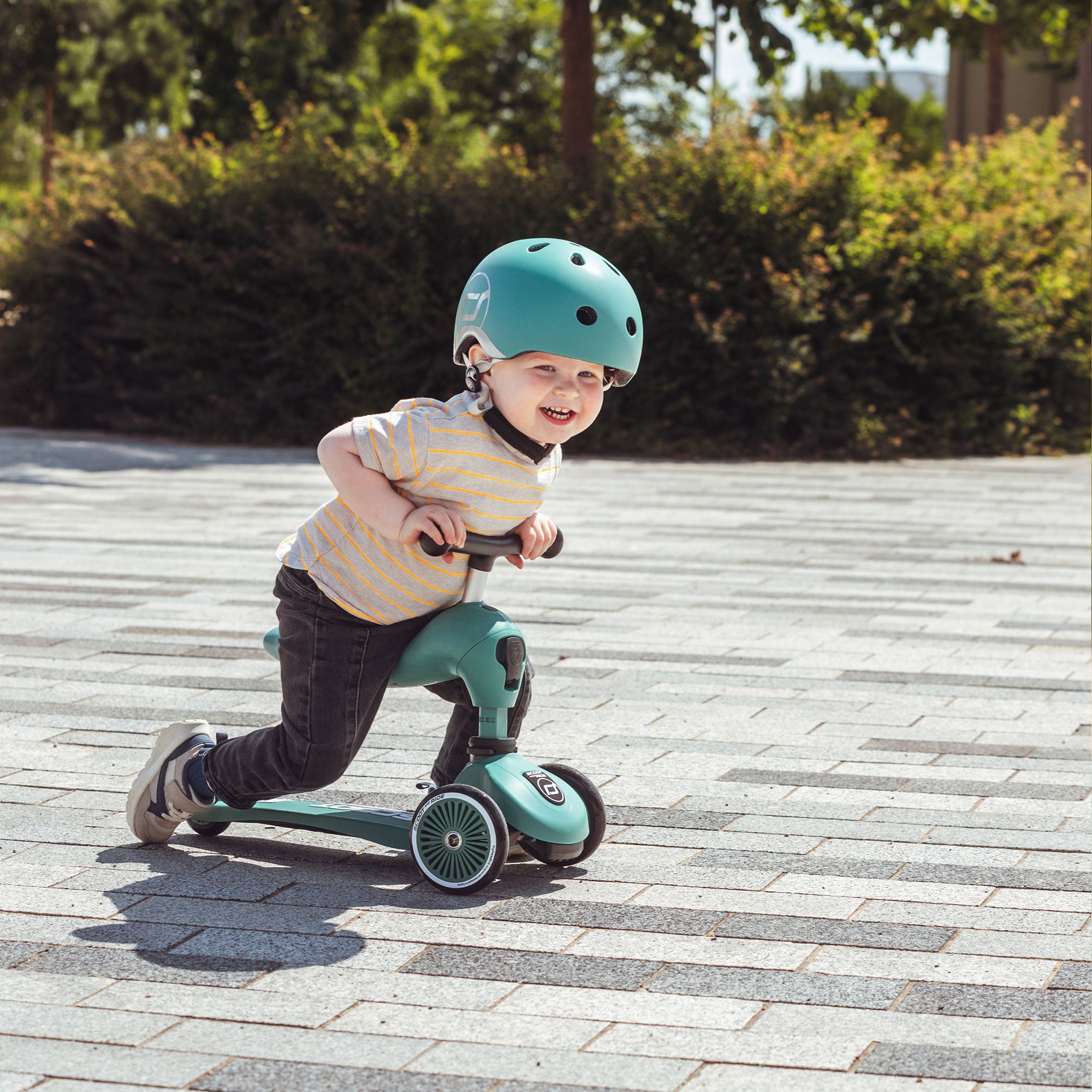 Scoot & Ride 2-in-1 Ride-On & Stand Scooter, Ages 1-5, Highwaykick,Forest(Used) - VMInnovations