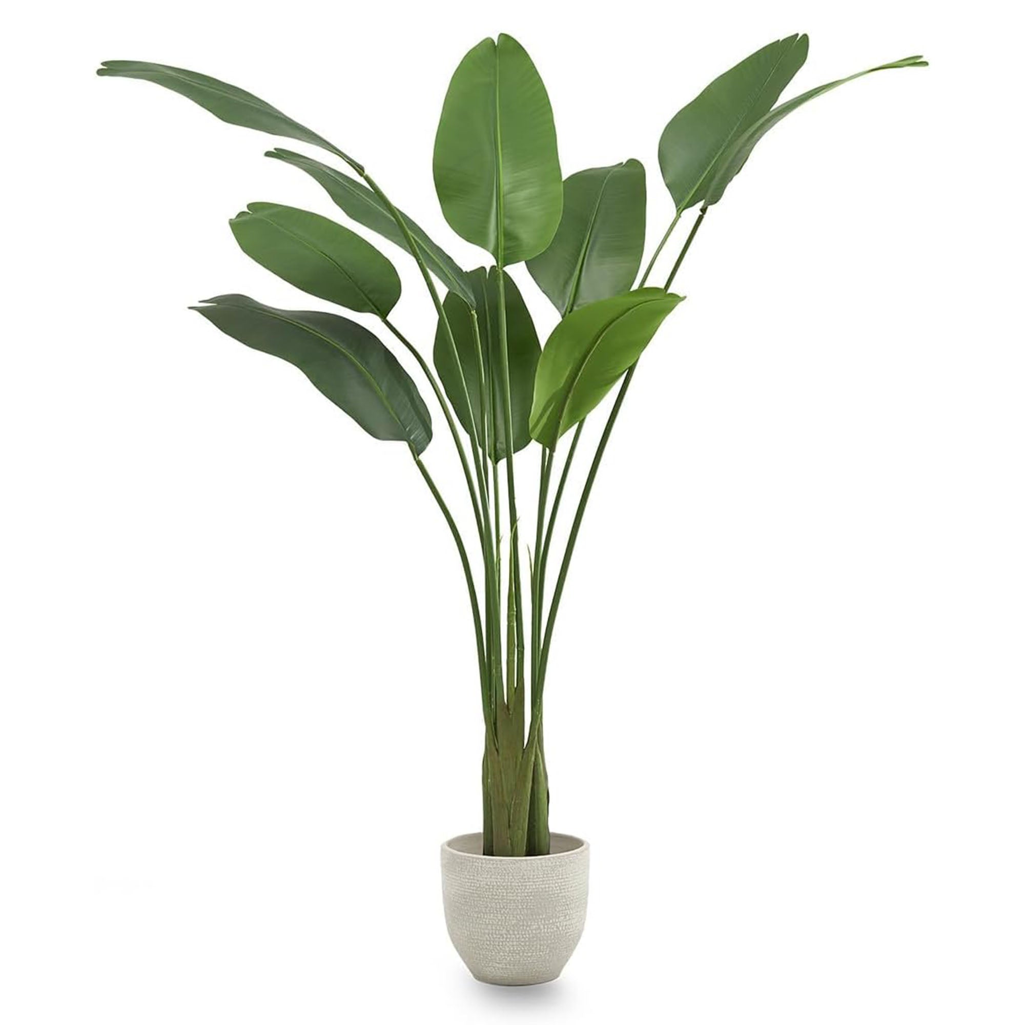 Maia Shop Bird of Paradise 6' Faux Plant, Fake Silk Tree w/ Leaves (Open Box) - VMInnovations
