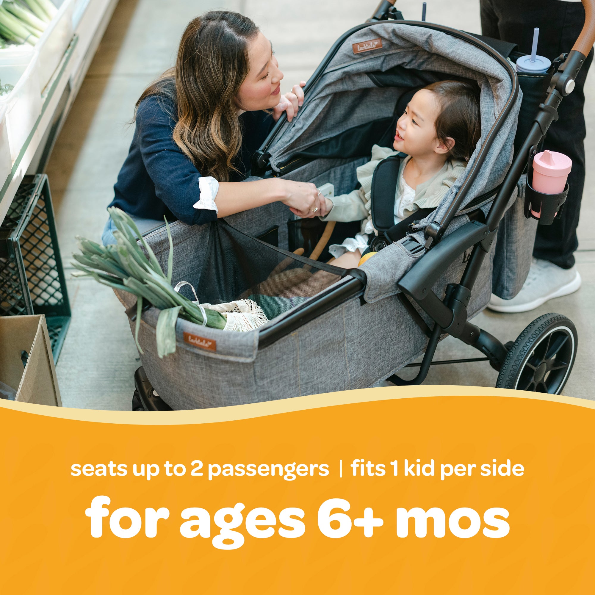 Larktale Sprout V2 Adjustable Stroller 2 Seater Wagon, 120 lb Capacity, Gray - VMInnovations