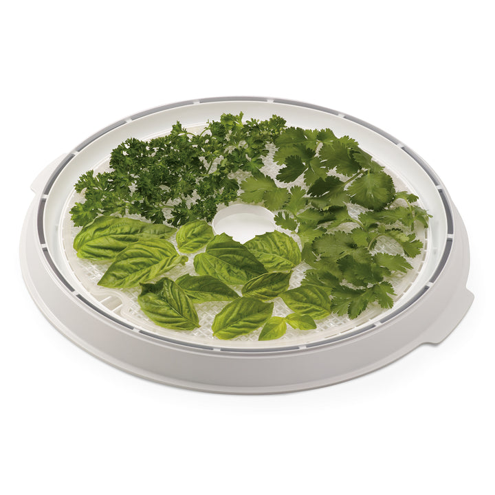 Presto Dehydro 6-Tray Digital Electric Food Dehydrator for Fruits & Vegetables - VMInnovations