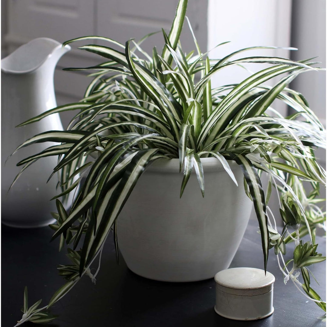 The HC Companies Sevilla Self-Watering Pot with Internal Disk, 12 Inch, White - VMInnovations