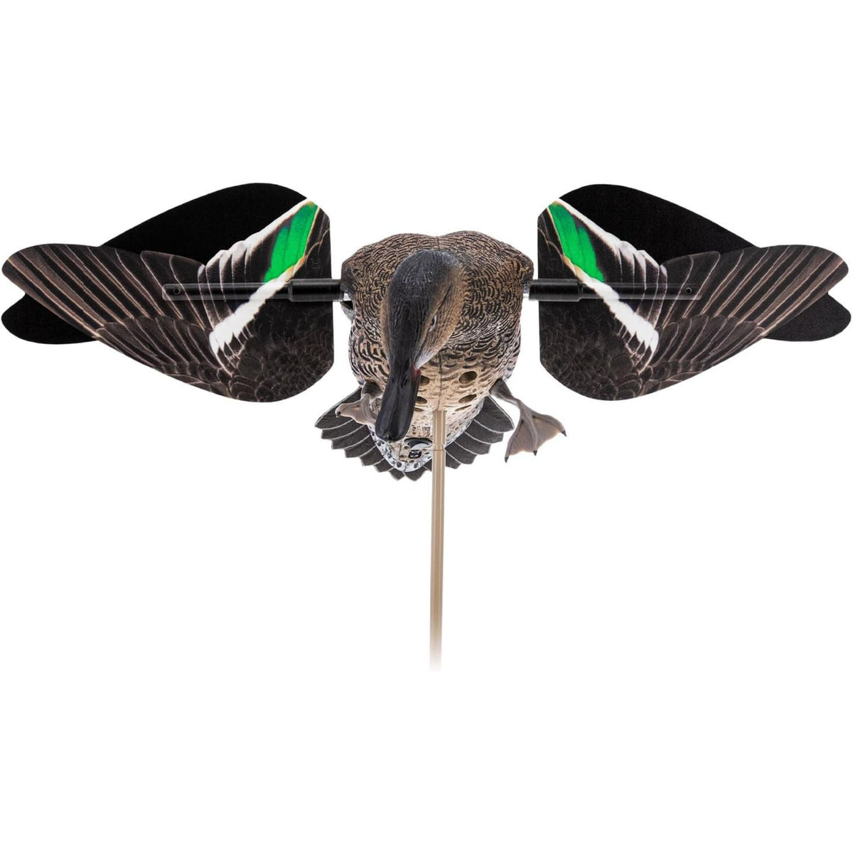 Avian X Powerflight Hen Teal Green Wing Duck Decoy with Wings, Stake & Carry Bag